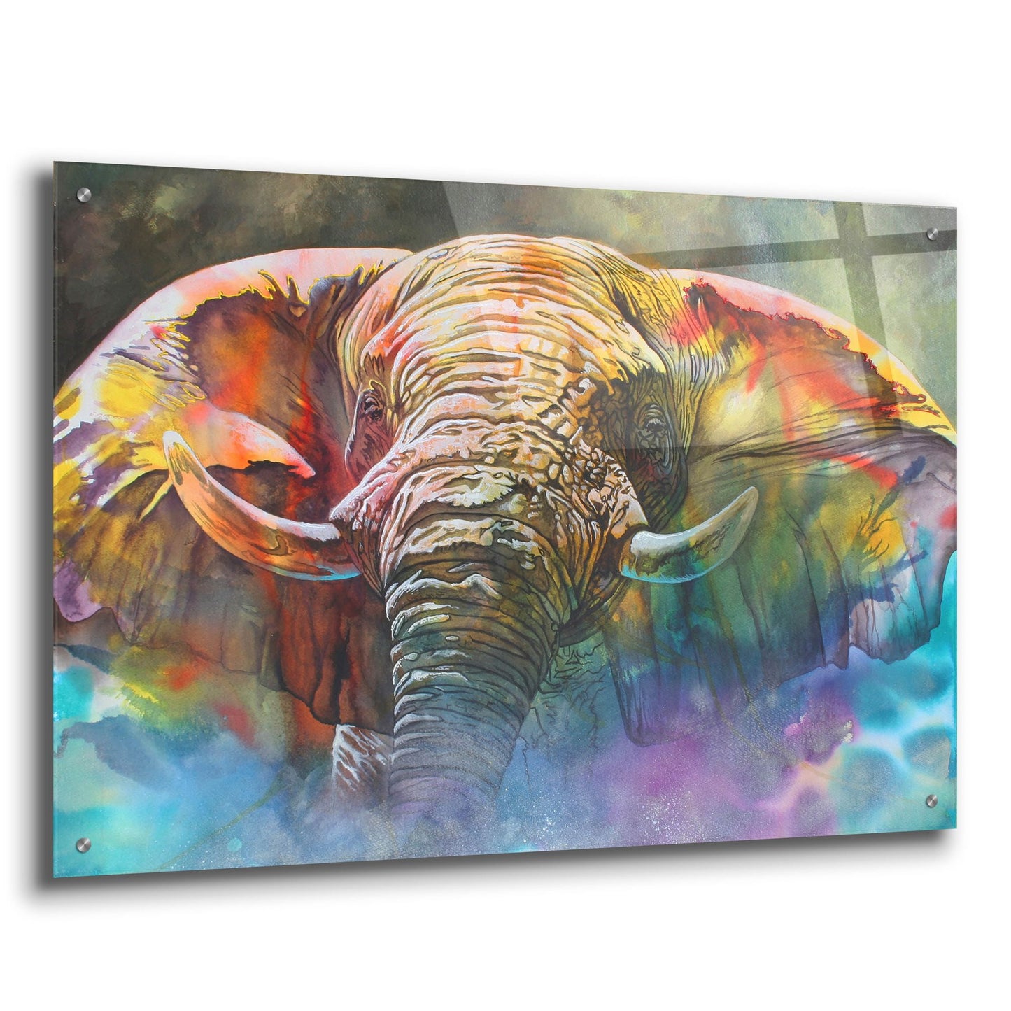 Epic Art 'Back Off Large' by Graeme Stevenson, Acrylic Glass Wall Art,36x24