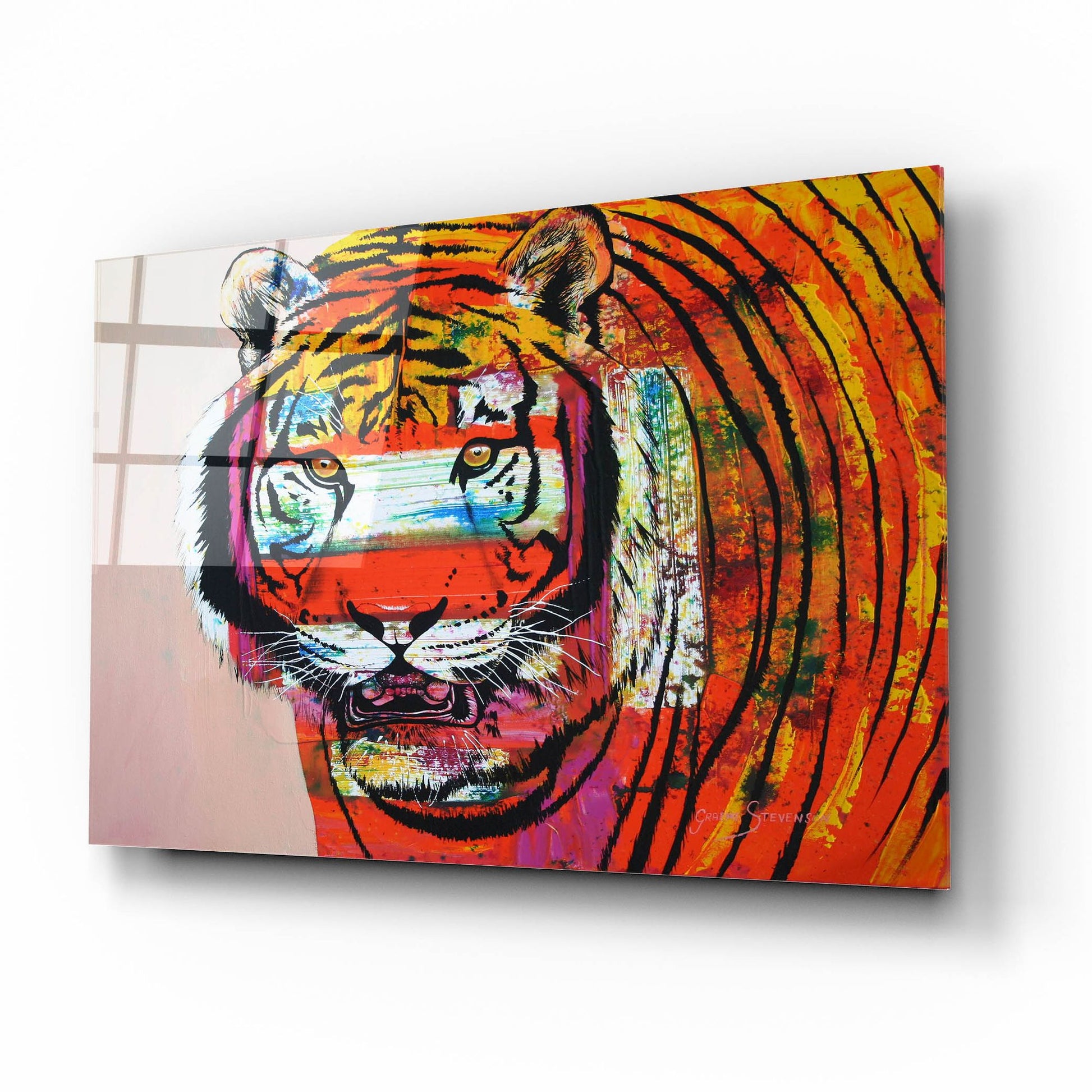 Epic Art 'Burning Bright Eyes' by Graeme Stevenson, Acrylic Glass Wall Art,16x12