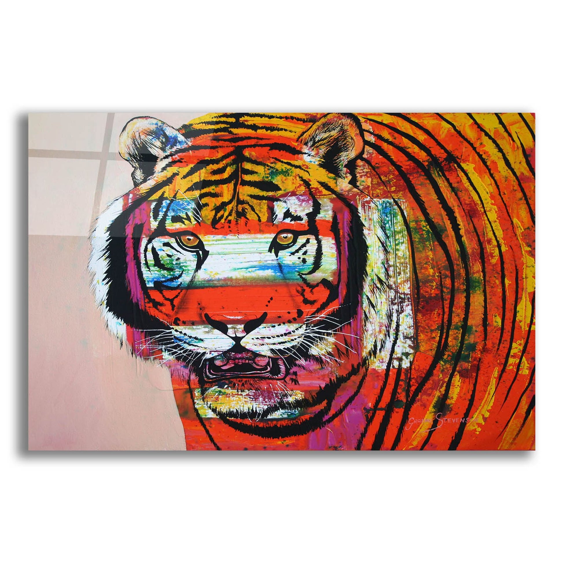 Epic Art 'Burning Bright Eyes' by Graeme Stevenson, Acrylic Glass Wall Art,24x16