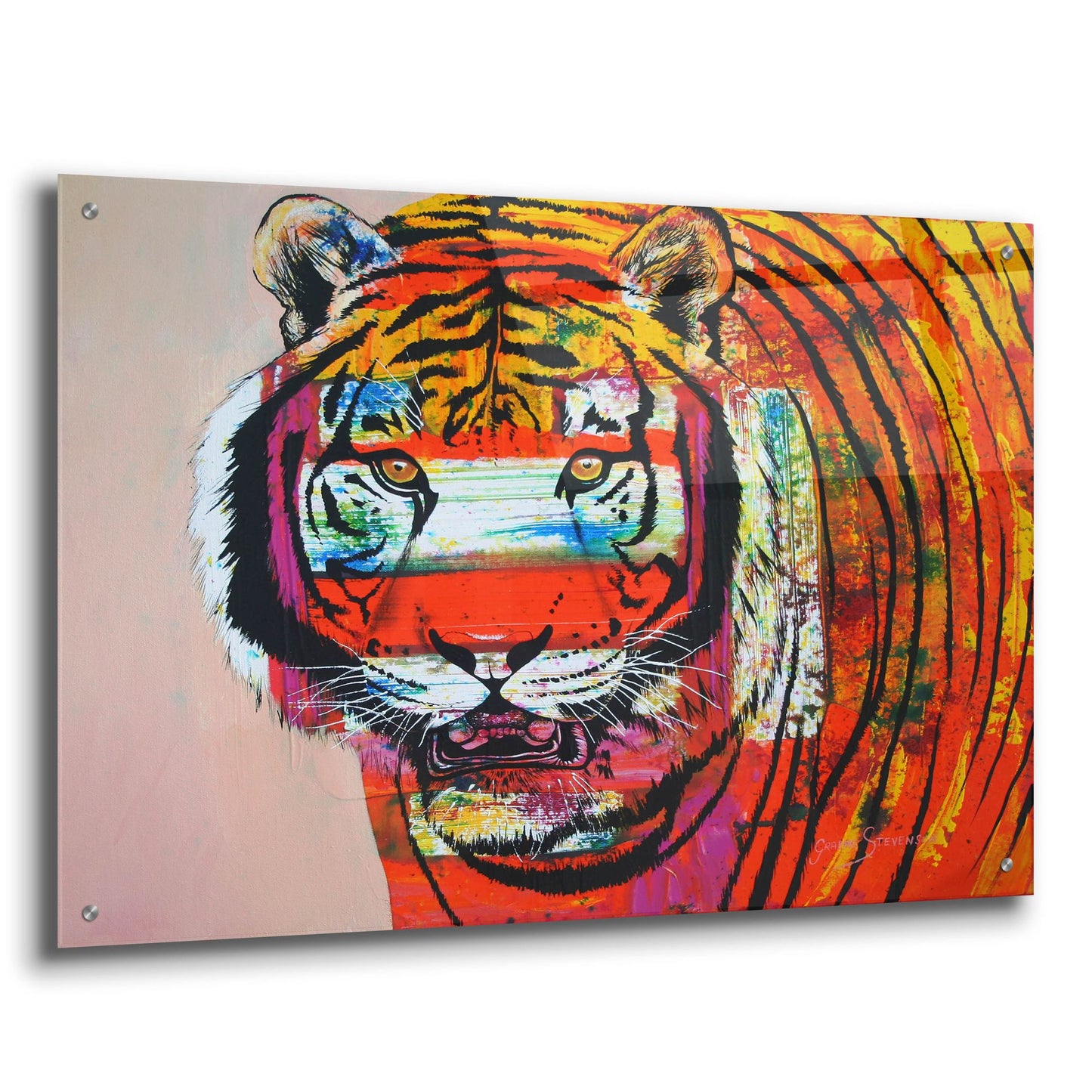 Epic Art 'Burning Bright Eyes' by Graeme Stevenson, Acrylic Glass Wall Art,36x24