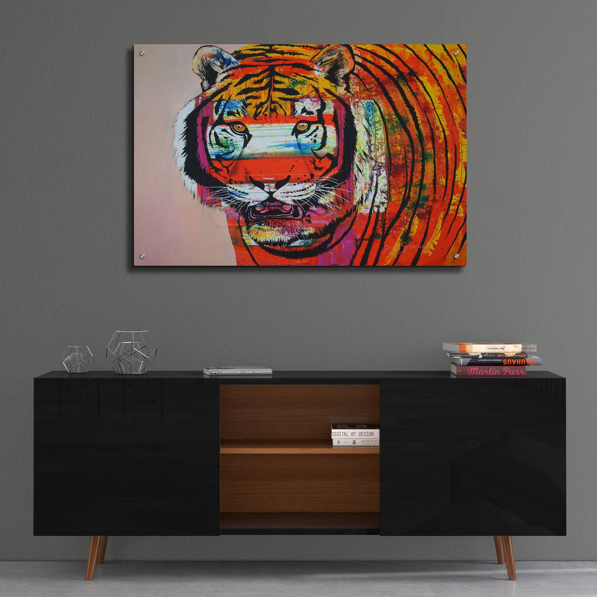 Epic Art 'Burning Bright Eyes' by Graeme Stevenson, Acrylic Glass Wall Art,36x24