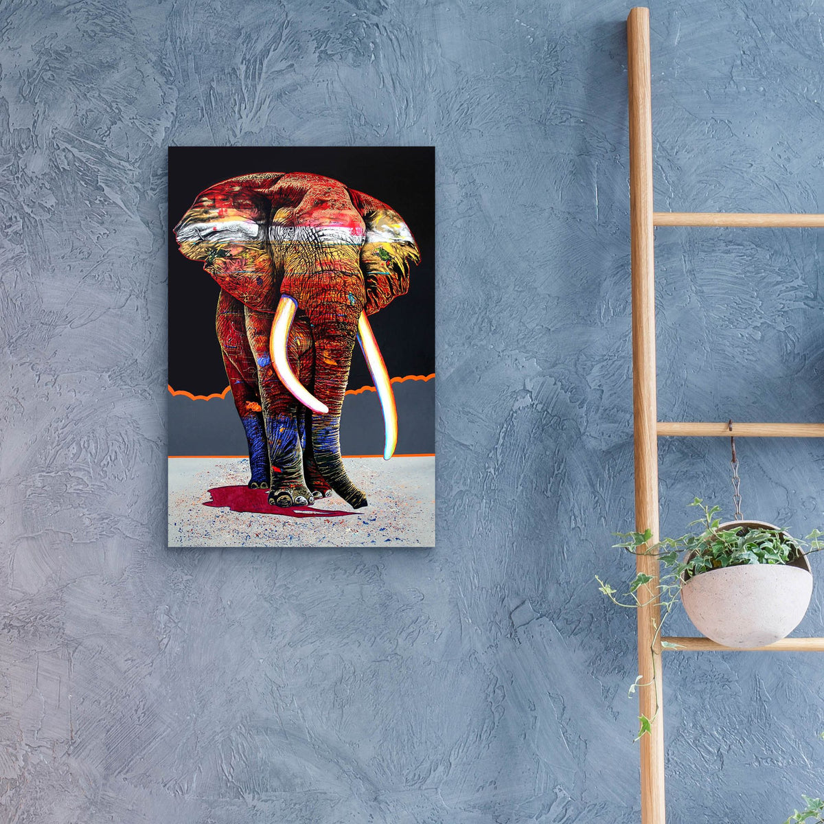 Epic Art 'The Magnificent One' by Graeme Stevenson, Acrylic Glass Wall Art,16x24