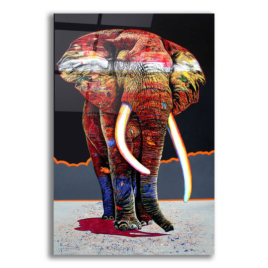Epic Art 'The Magnificent One' by Graeme Stevenson, Acrylic Glass Wall Art