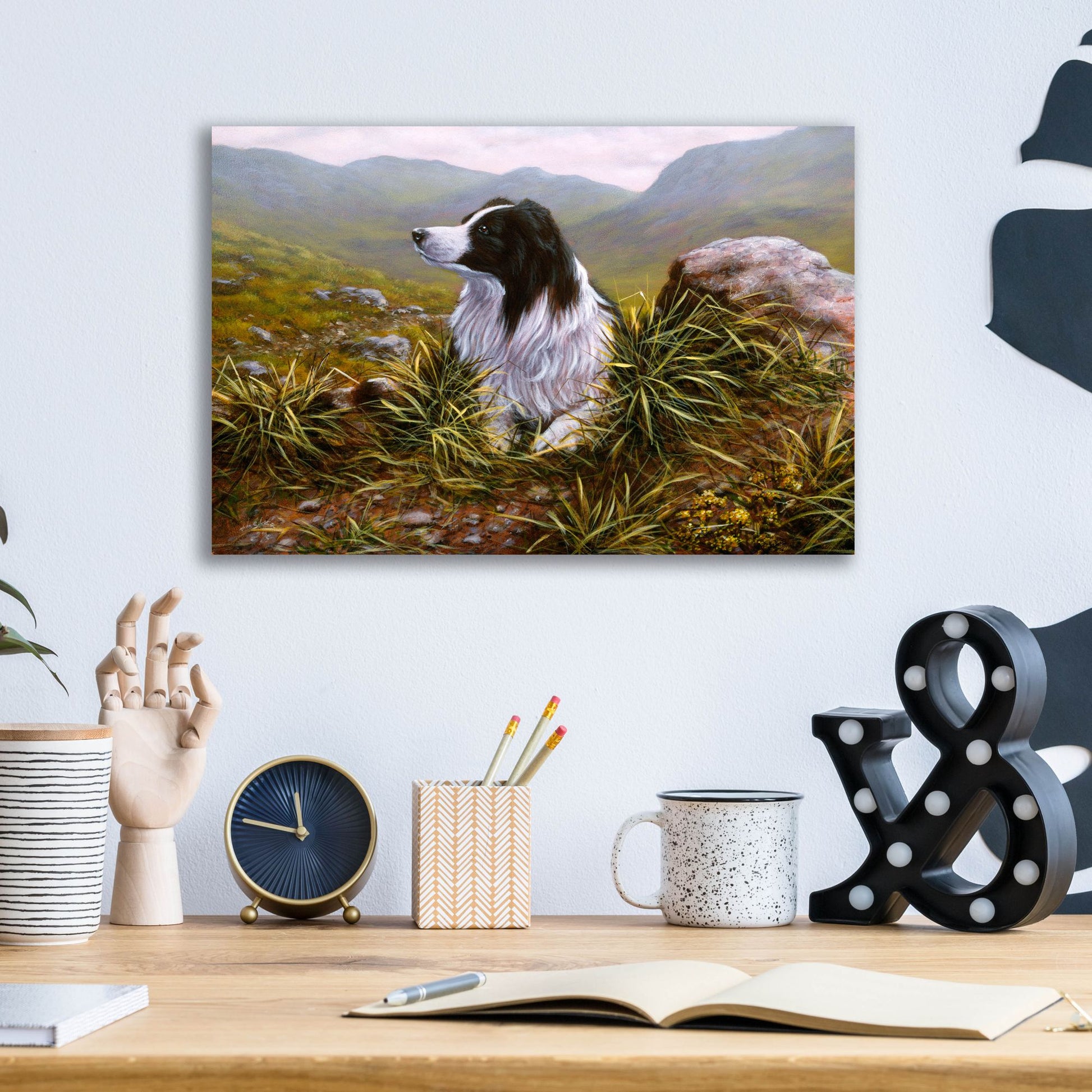 Epic Art 'Thoughtful Border Collie' by John Silver, Acrylic Glass Wall Art,16x12