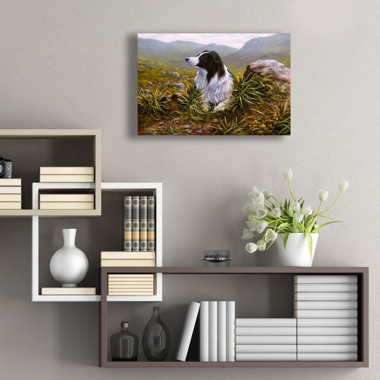 Epic Art 'Thoughtful Border Collie' by John Silver, Acrylic Glass Wall Art,24x16