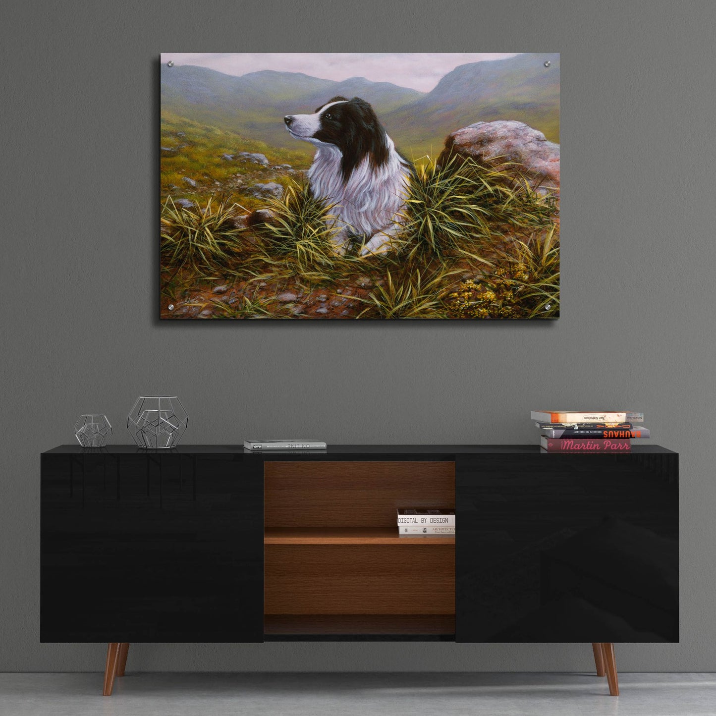 Epic Art 'Thoughtful Border Collie' by John Silver, Acrylic Glass Wall Art,36x24