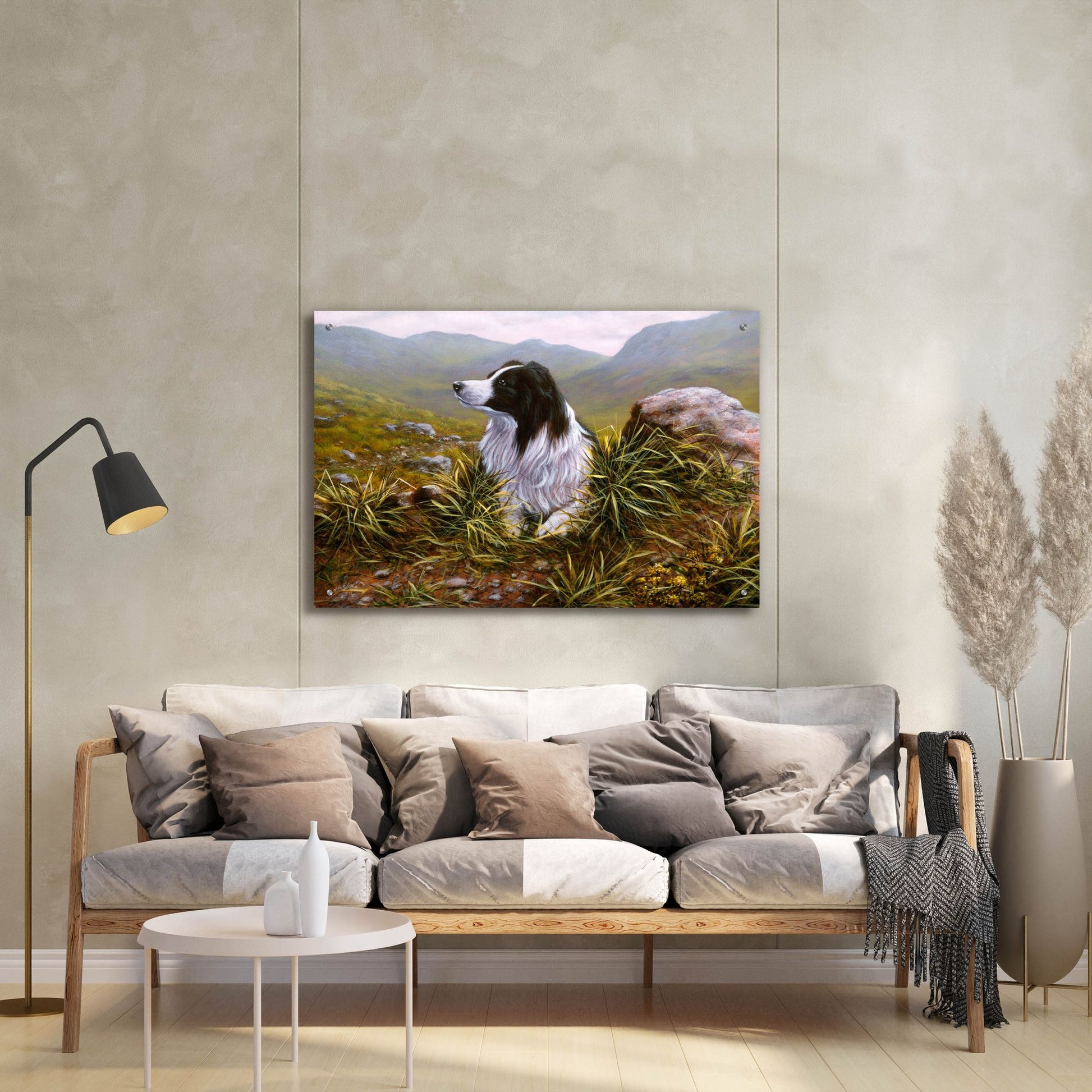 Epic Art 'Thoughtful Border Collie' by John Silver, Acrylic Glass Wall Art,36x24