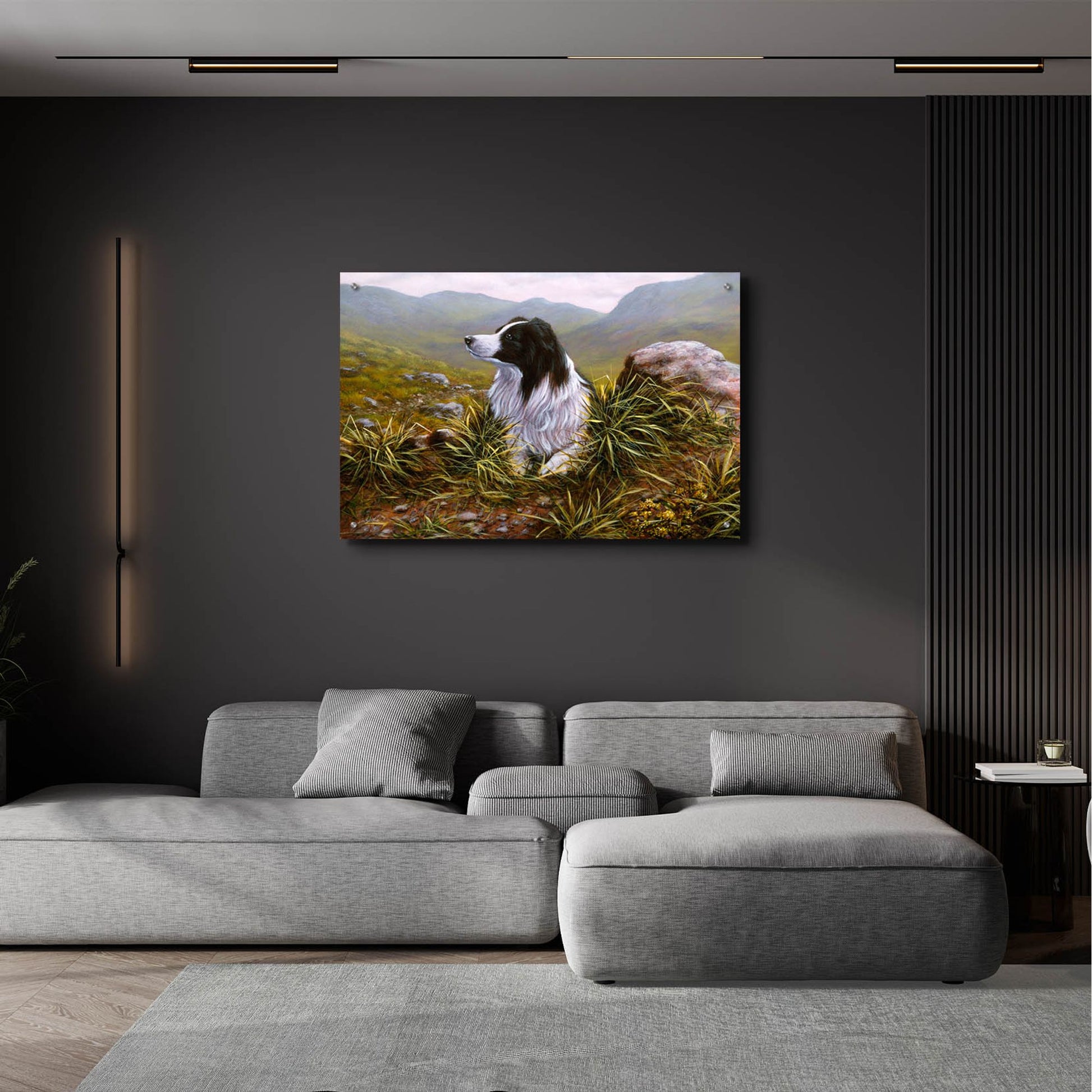 Epic Art 'Thoughtful Border Collie' by John Silver, Acrylic Glass Wall Art,36x24