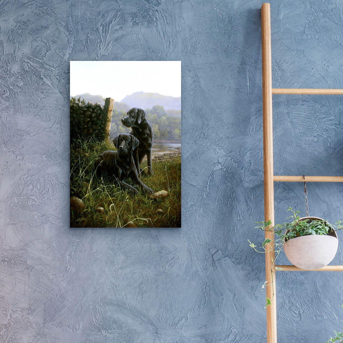 Epic Art 'Country Companions' by John Silver, Acrylic Glass Wall Art,16x24