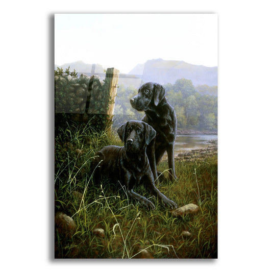 Epic Art 'Country Companions' by John Silver, Acrylic Glass Wall Art