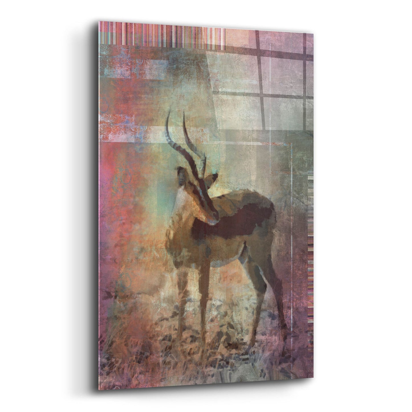 Epic Art 'Africa Antelope' by Greg Simanson, Acrylic Glass Wall Art,16x24