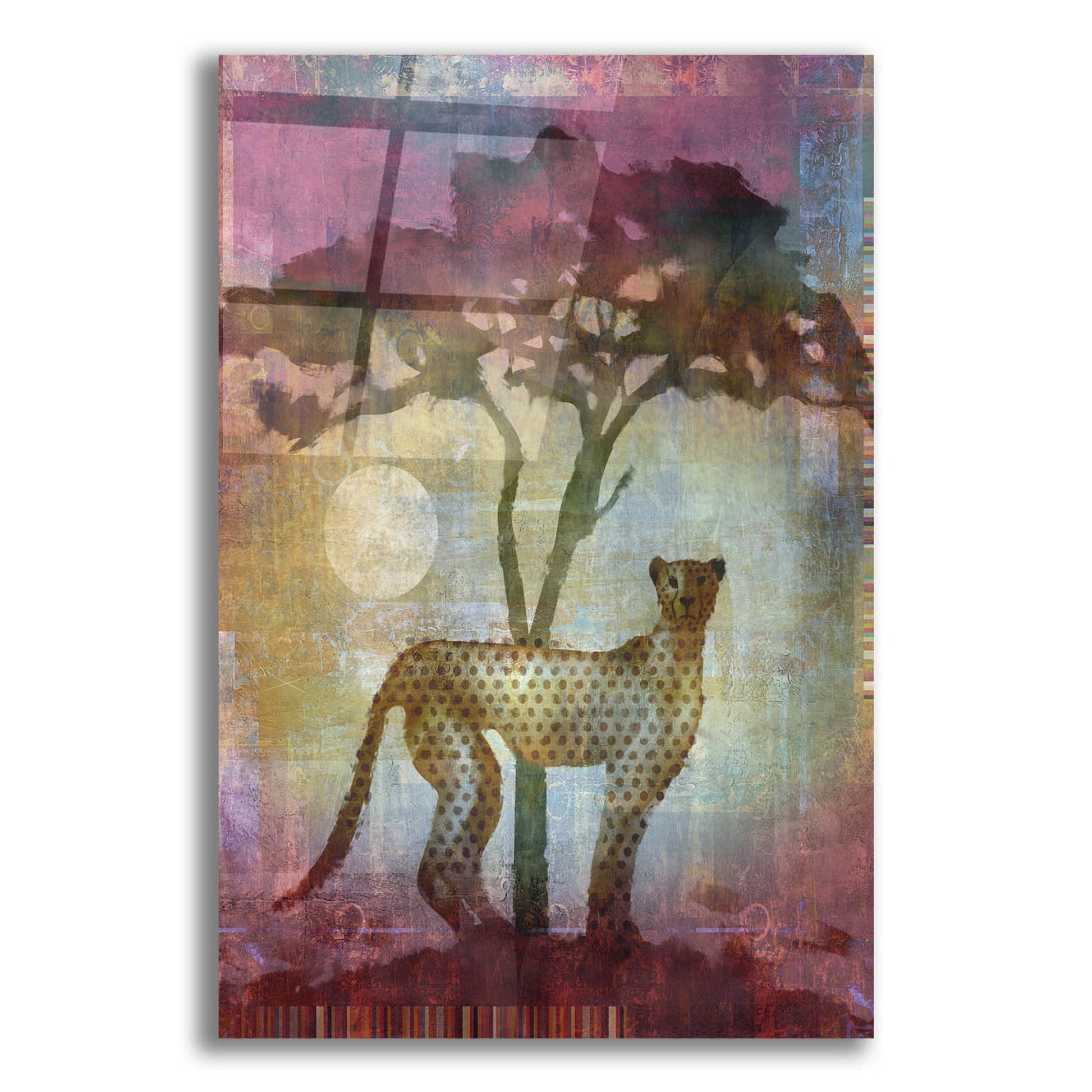 Epic Art 'Africa Cheetah' by Greg Simanson, Acrylic Glass Wall Art