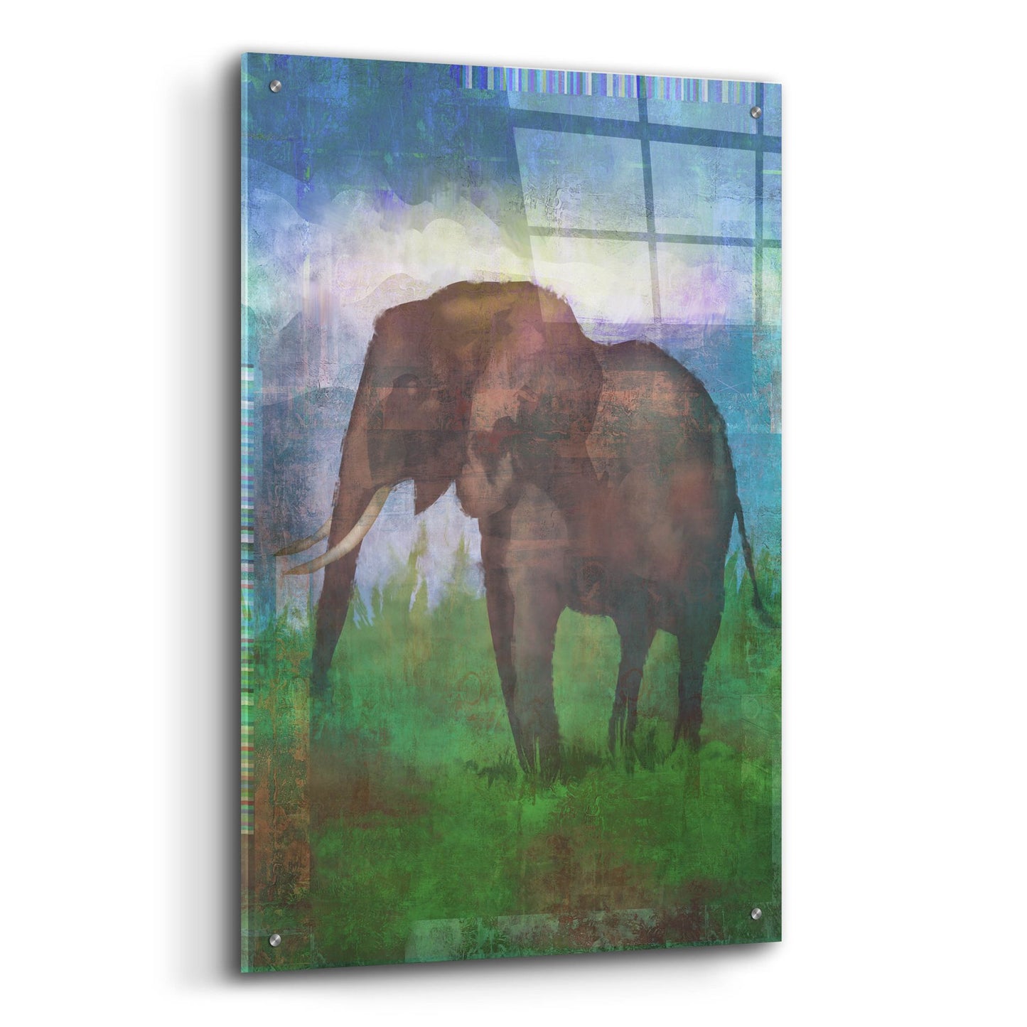 Epic Art 'Africa Elephant' by Greg Simanson, Acrylic Glass Wall Art,24x36