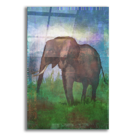 Epic Art 'Africa Elephant' by Greg Simanson, Acrylic Glass Wall Art