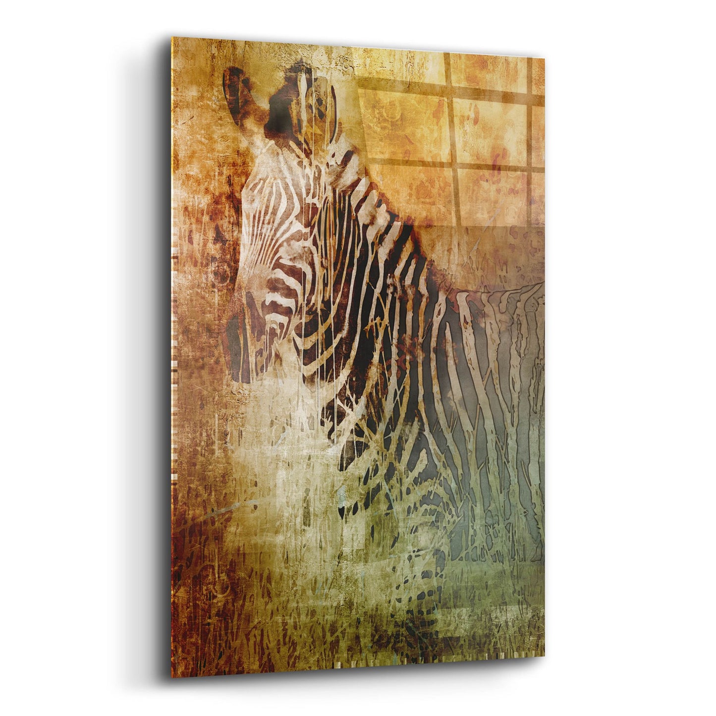 Epic Art 'Africa Zebra' by Greg Simanson, Acrylic Glass Wall Art,12x16