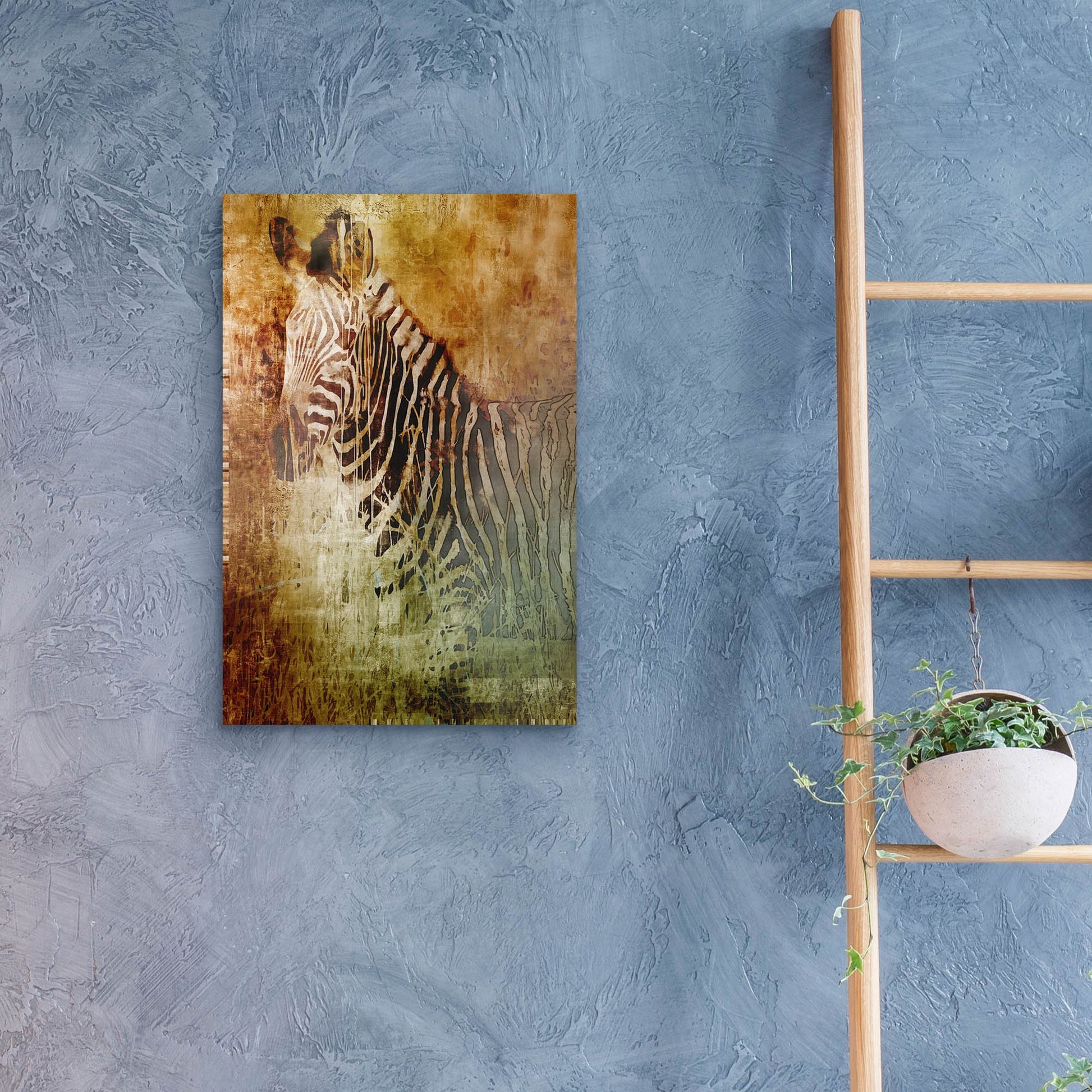 Epic Art 'Africa Zebra' by Greg Simanson, Acrylic Glass Wall Art,16x24