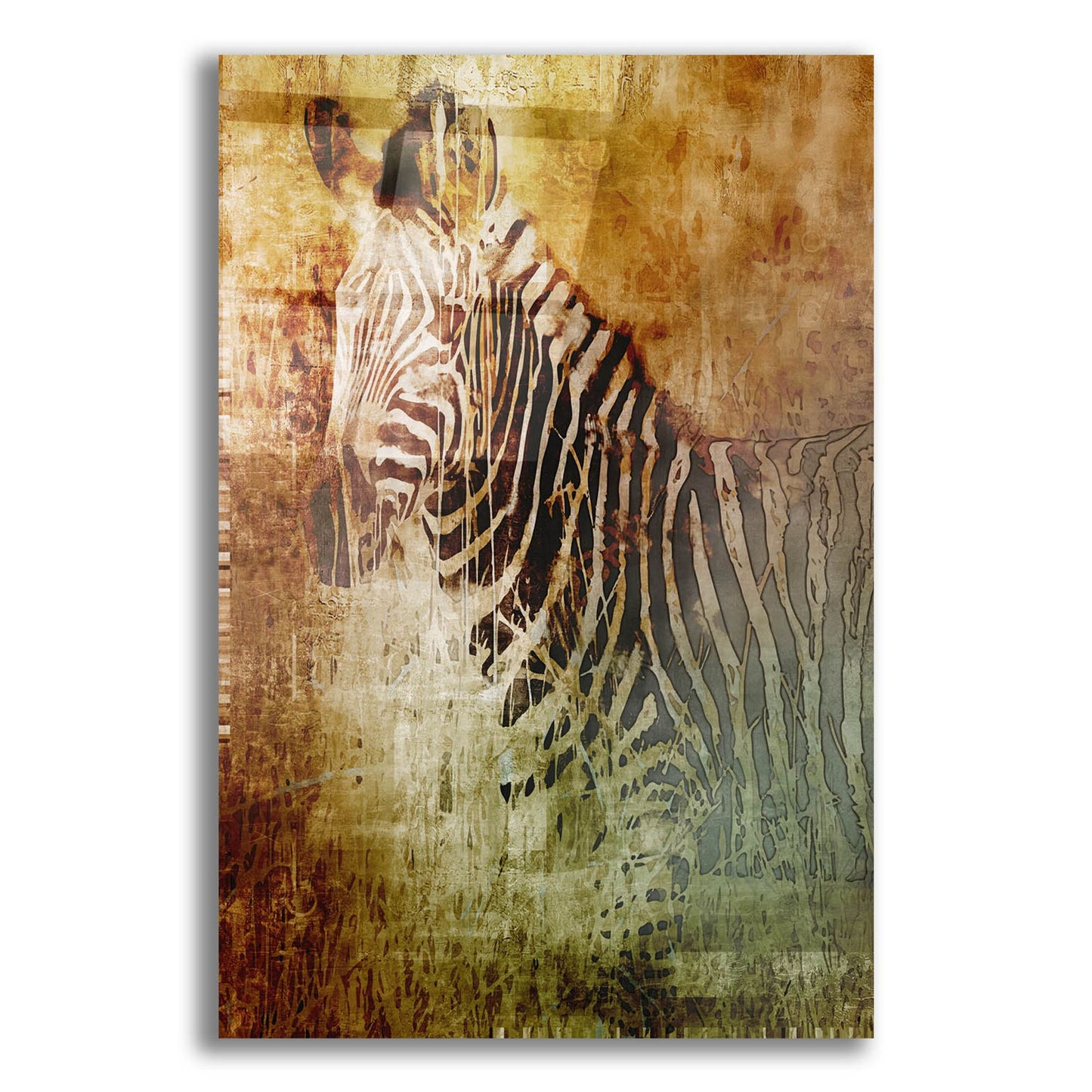 Epic Art 'Africa Zebra' by Greg Simanson, Acrylic Glass Wall Art