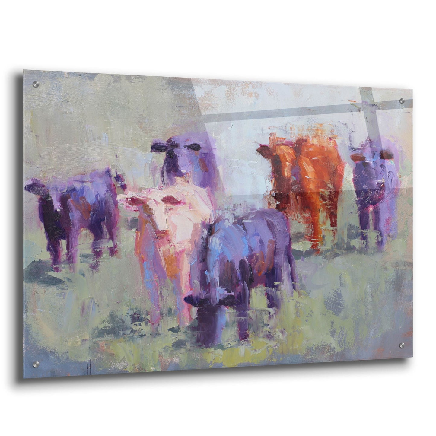 Epic Art 'Cow Study of Mixer' by Jennifer Stottle Taylor, Acrylic Glass Wall Art,36x24