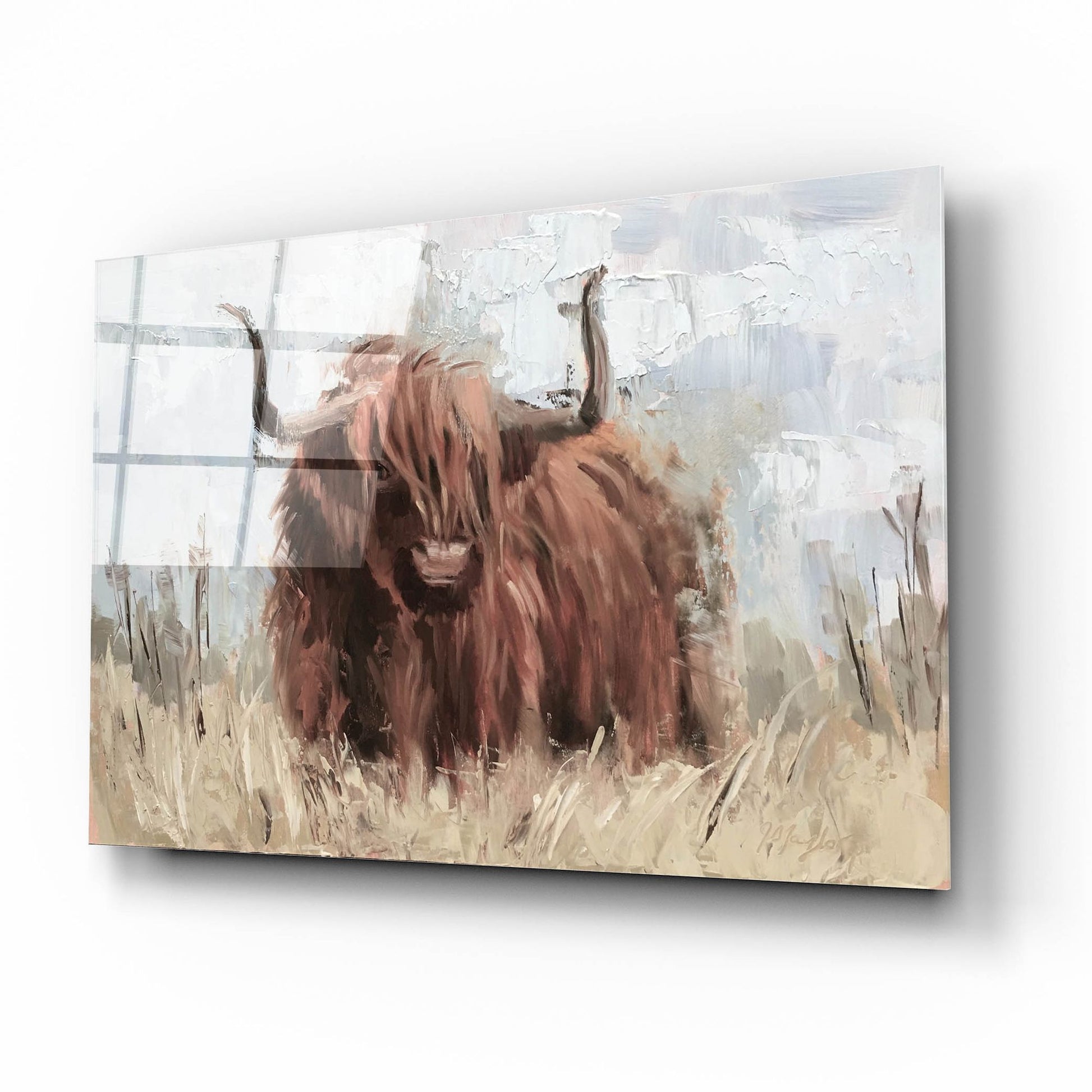 Epic Art 'Scottish Highland Bull B' by Jennifer Stottle Taylor, Acrylic Glass Wall Art,16x12