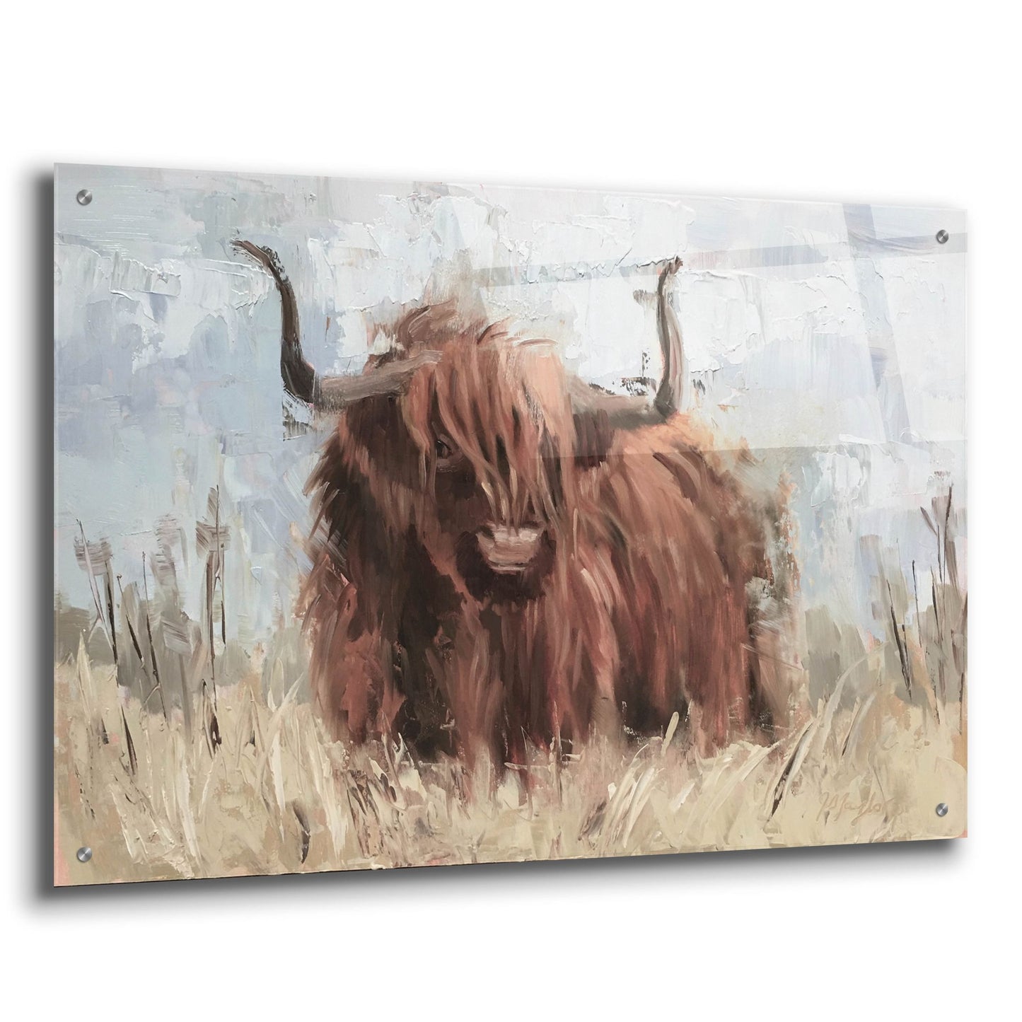 Epic Art 'Scottish Highland Bull B' by Jennifer Stottle Taylor, Acrylic Glass Wall Art,36x24