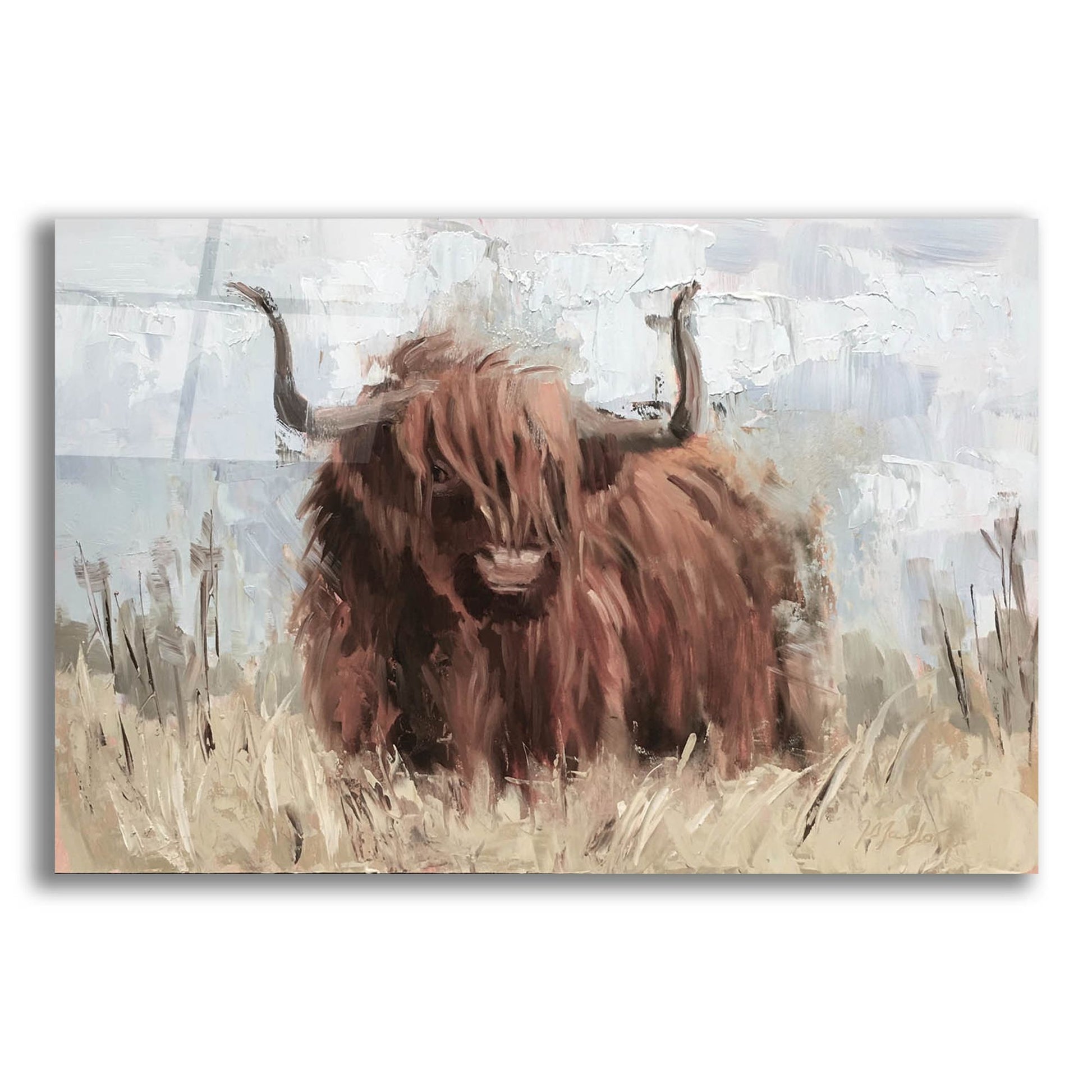 Epic Art 'Scottish Highland Bull B' by Jennifer Stottle Taylor, Acrylic Glass Wall Art