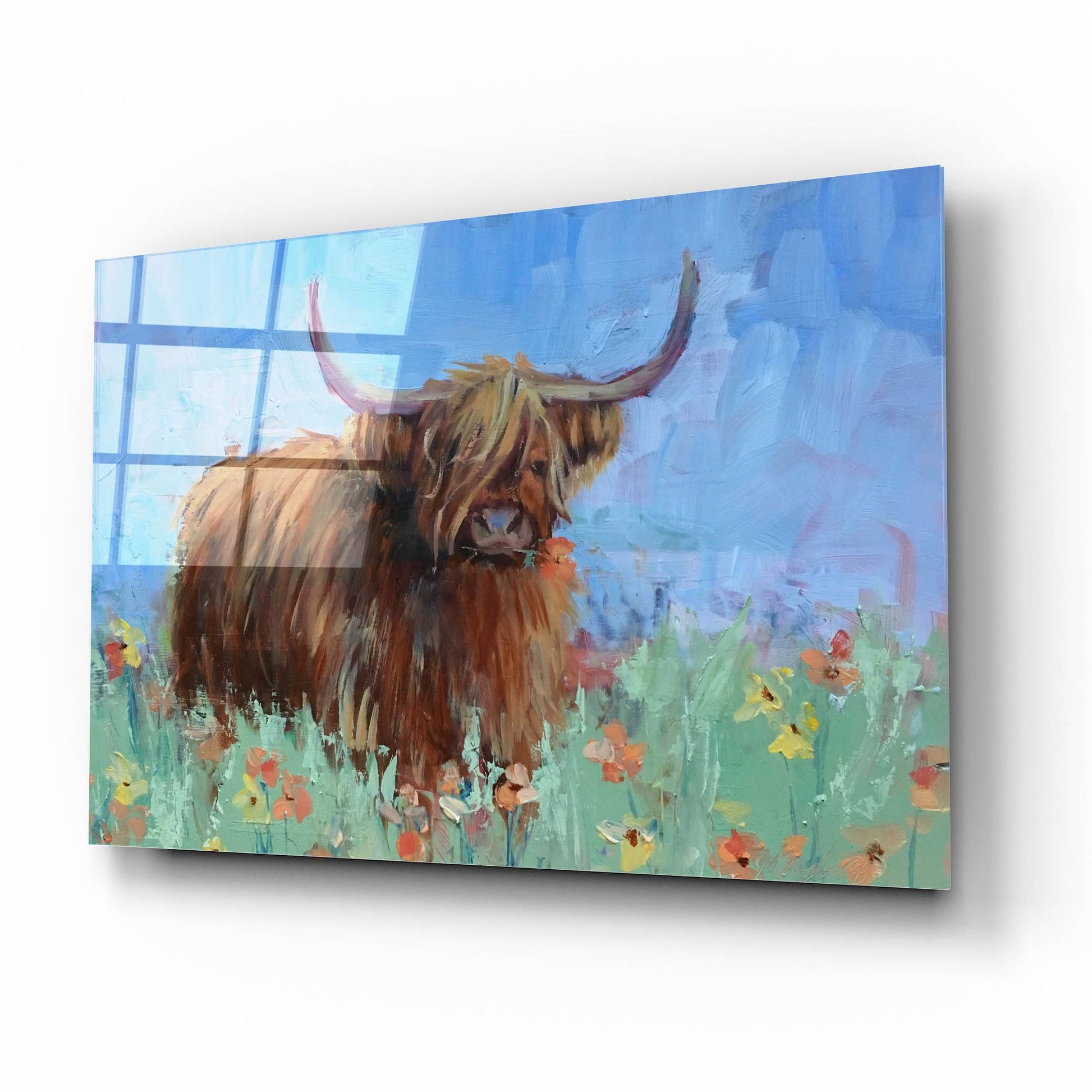 Epic Art 'Scottish Highland Cow' by Jennifer Stottle Taylor, Acrylic Glass Wall Art,16x12