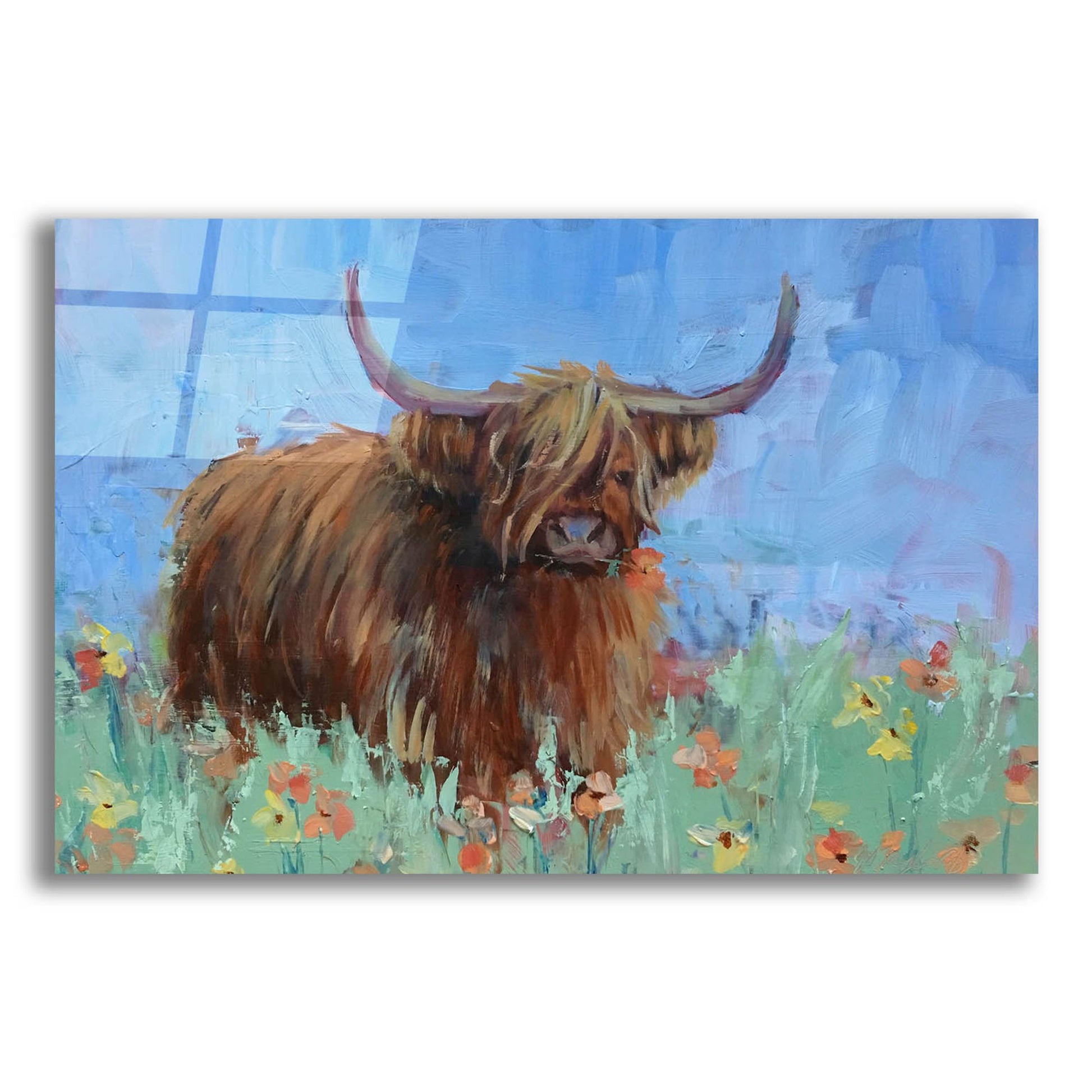 Epic Art 'Scottish Highland Cow' by Jennifer Stottle Taylor, Acrylic Glass Wall Art,24x16