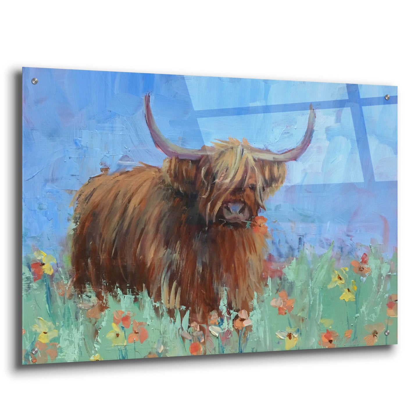 Epic Art 'Scottish Highland Cow' by Jennifer Stottle Taylor, Acrylic Glass Wall Art,36x24