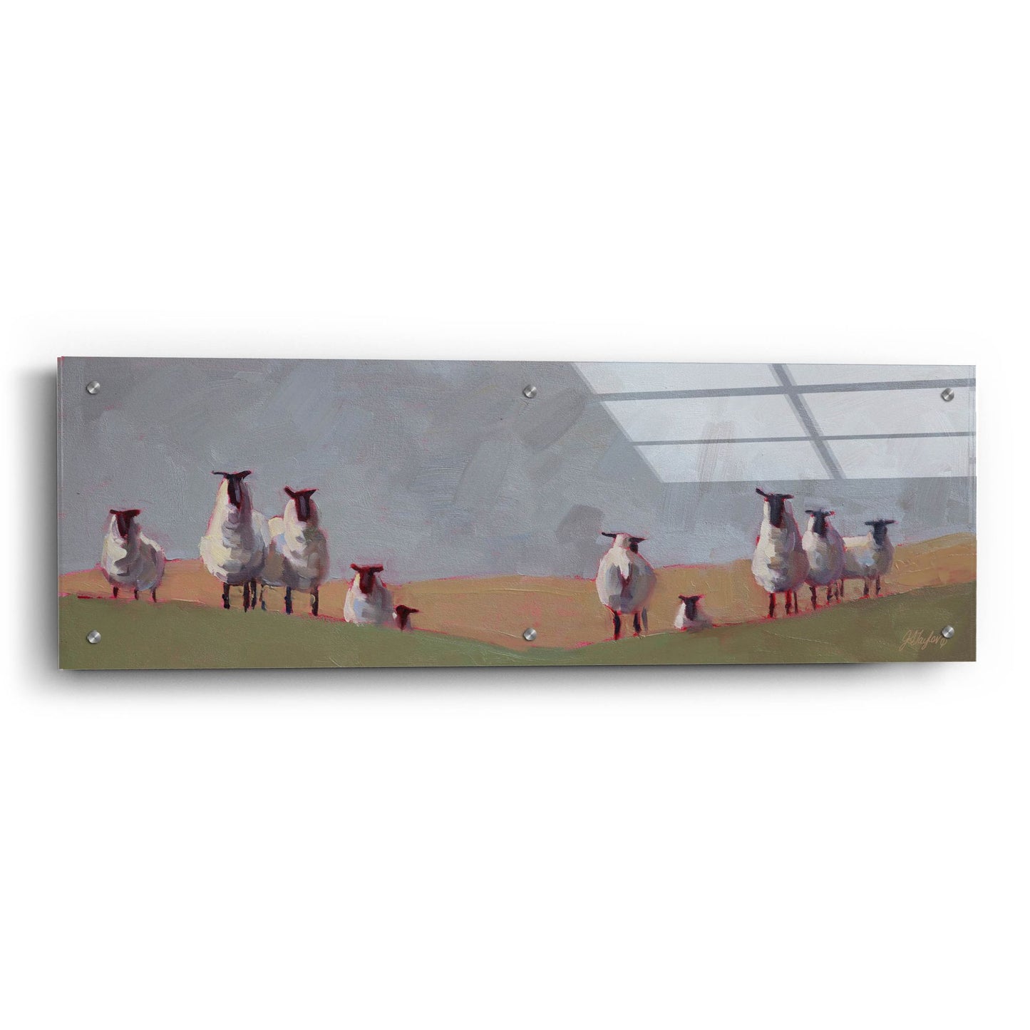 Epic Art '10 Sheep' by Jennifer Stottle Taylor, Acrylic Glass Wall Art,36x12