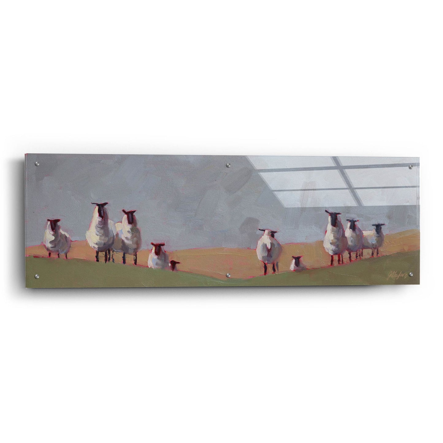 Epic Art '10 Sheep' by Jennifer Stottle Taylor, Acrylic Glass Wall Art,48x16