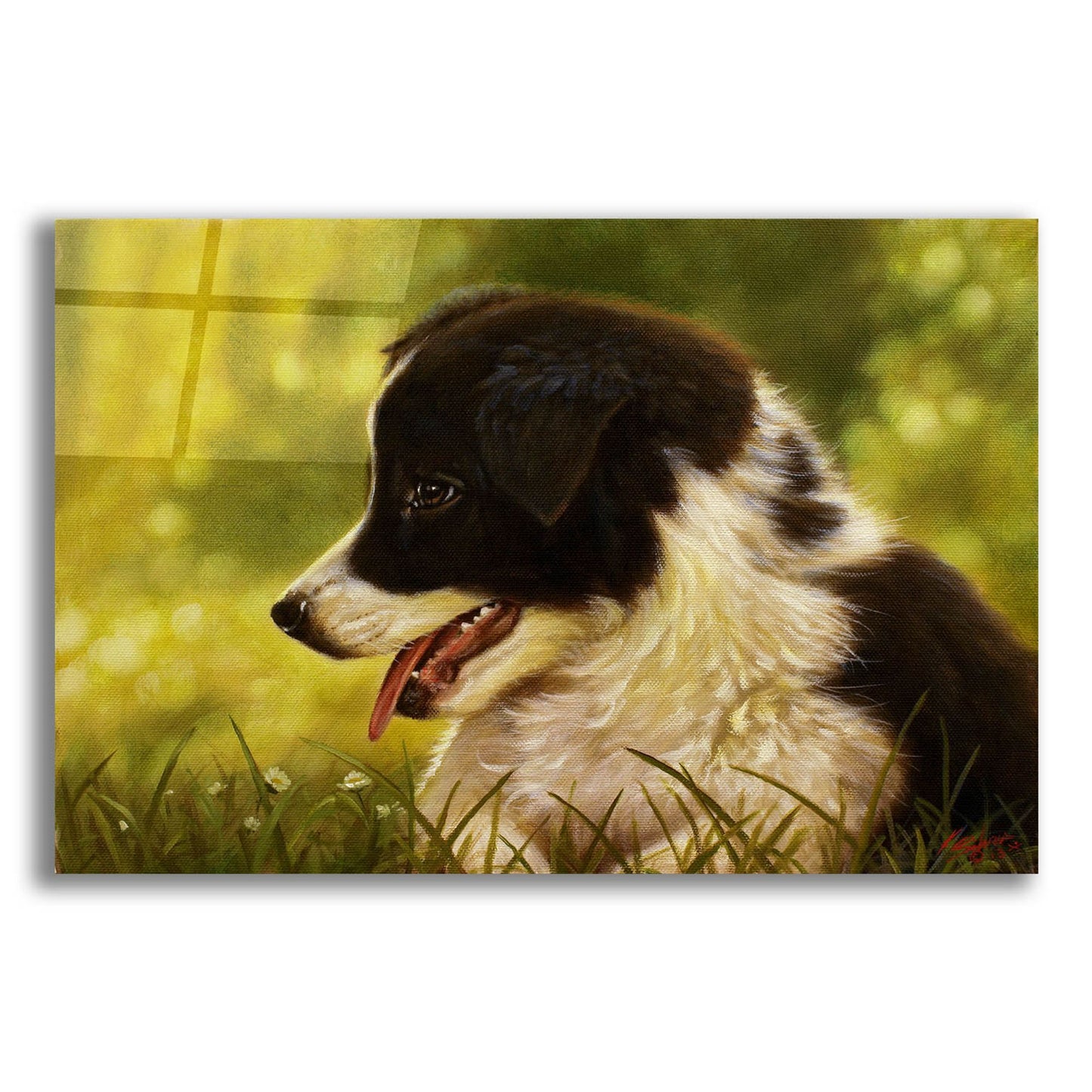 Epic Art 'Border Collie garden' by John Silver, Acrylic Glass Wall Art,24x16