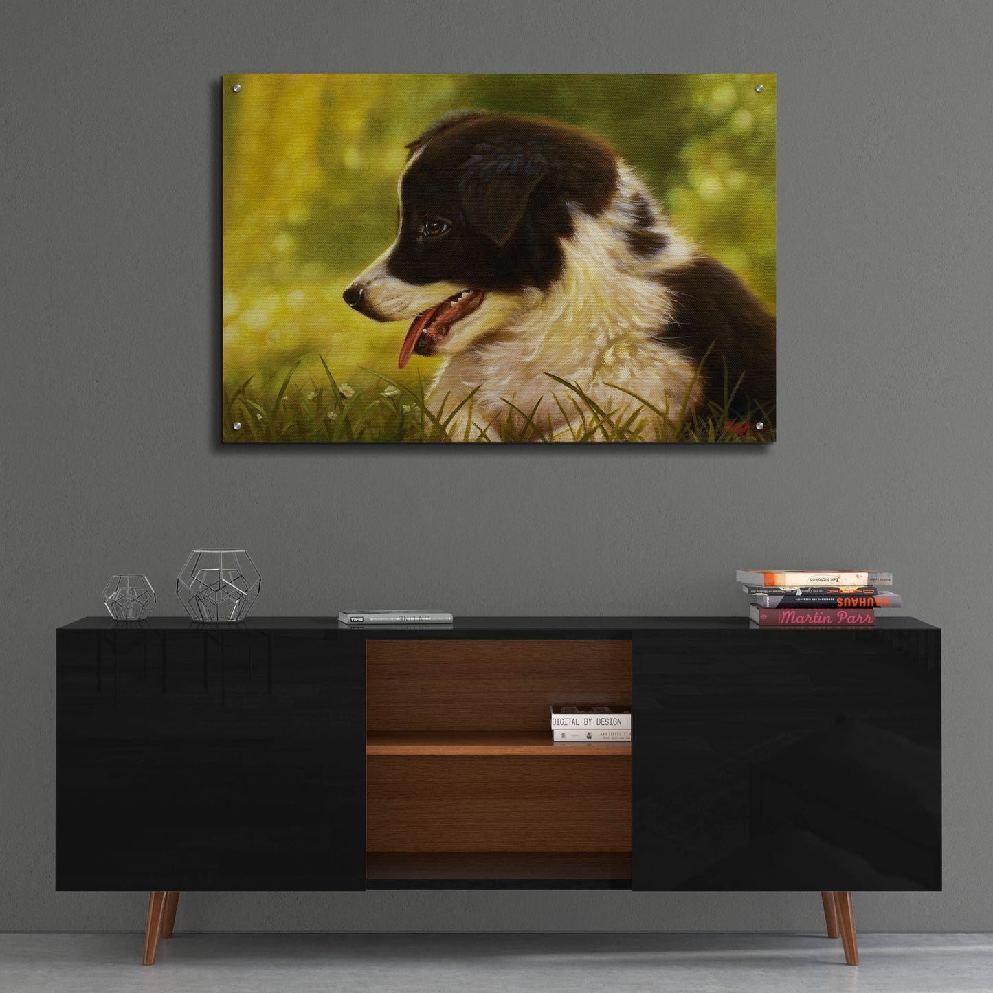 Epic Art 'Border Collie garden' by John Silver, Acrylic Glass Wall Art,36x24