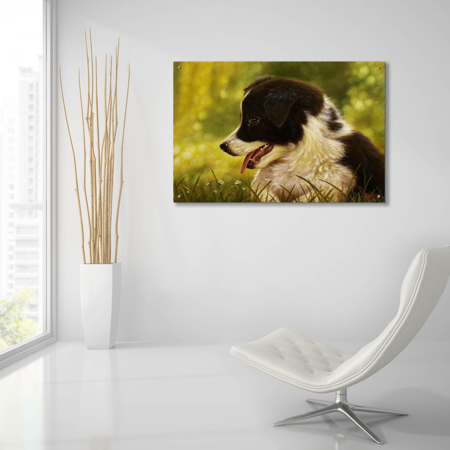 Epic Art 'Border Collie garden' by John Silver, Acrylic Glass Wall Art,36x24