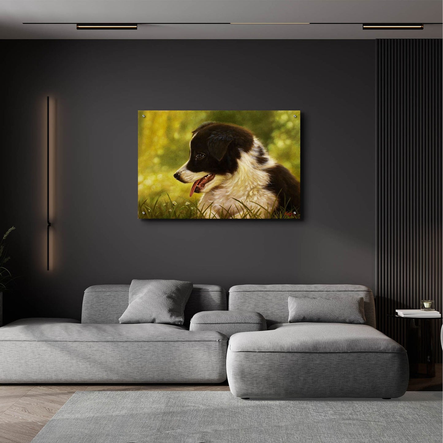 Epic Art 'Border Collie garden' by John Silver, Acrylic Glass Wall Art,36x24