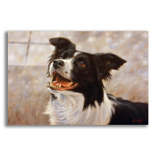 Epic Art 'Border Collie I love you dad' by John Silver, Acrylic Glass Wall Art