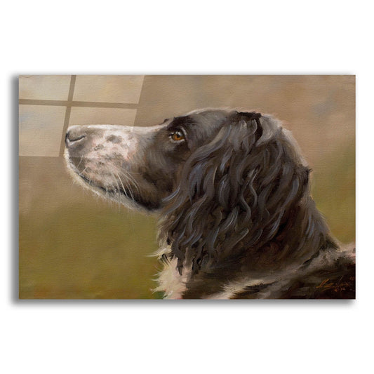 Epic Art 'Dog Wander' by John Silver, Acrylic Glass Wall Art