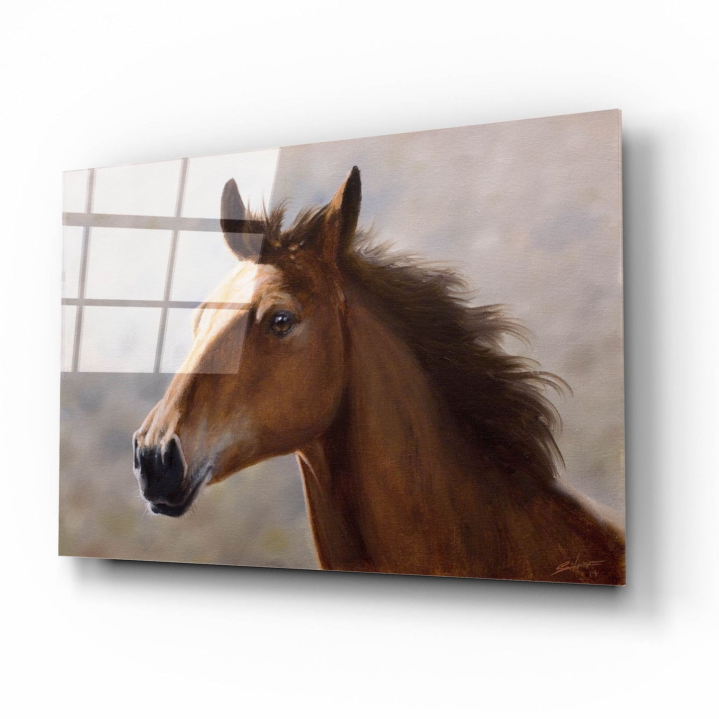 Epic Art 'Horse Thoughts' by John Silver, Acrylic Glass Wall Art,16x12