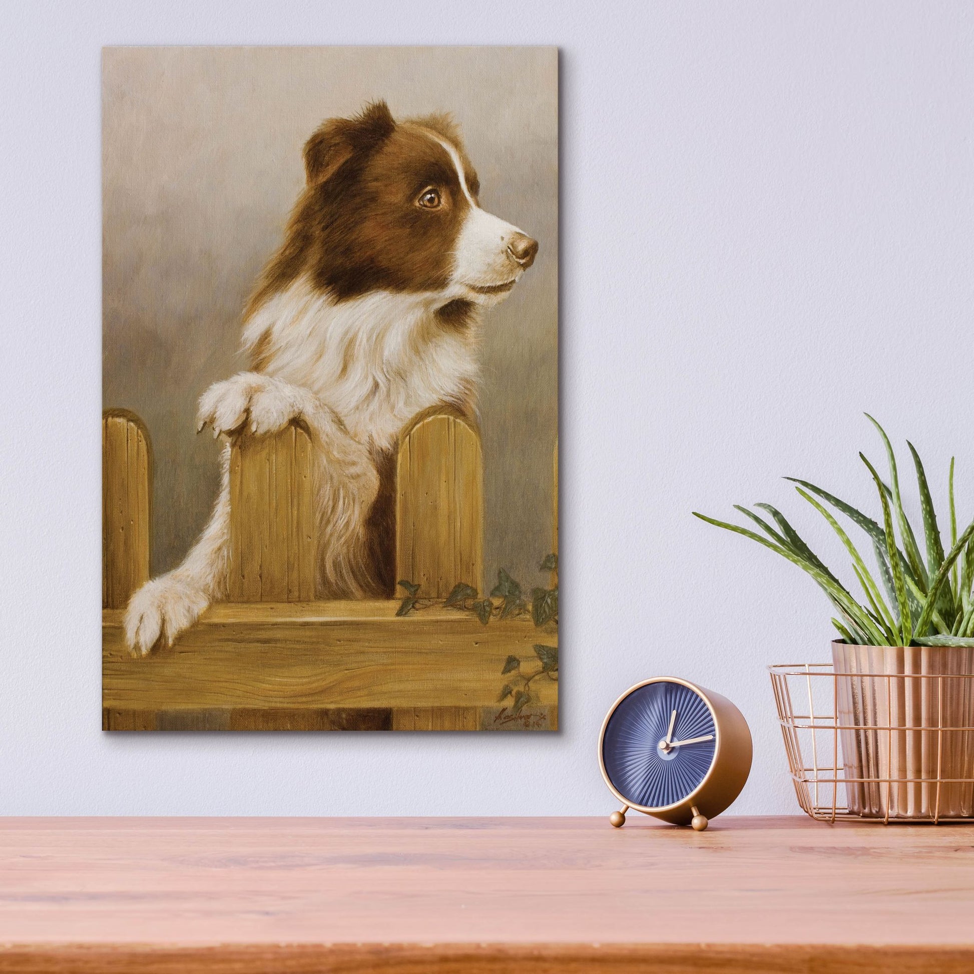 Epic Art 'Brown Collie' by John Silver, Acrylic Glass Wall Art,12x16