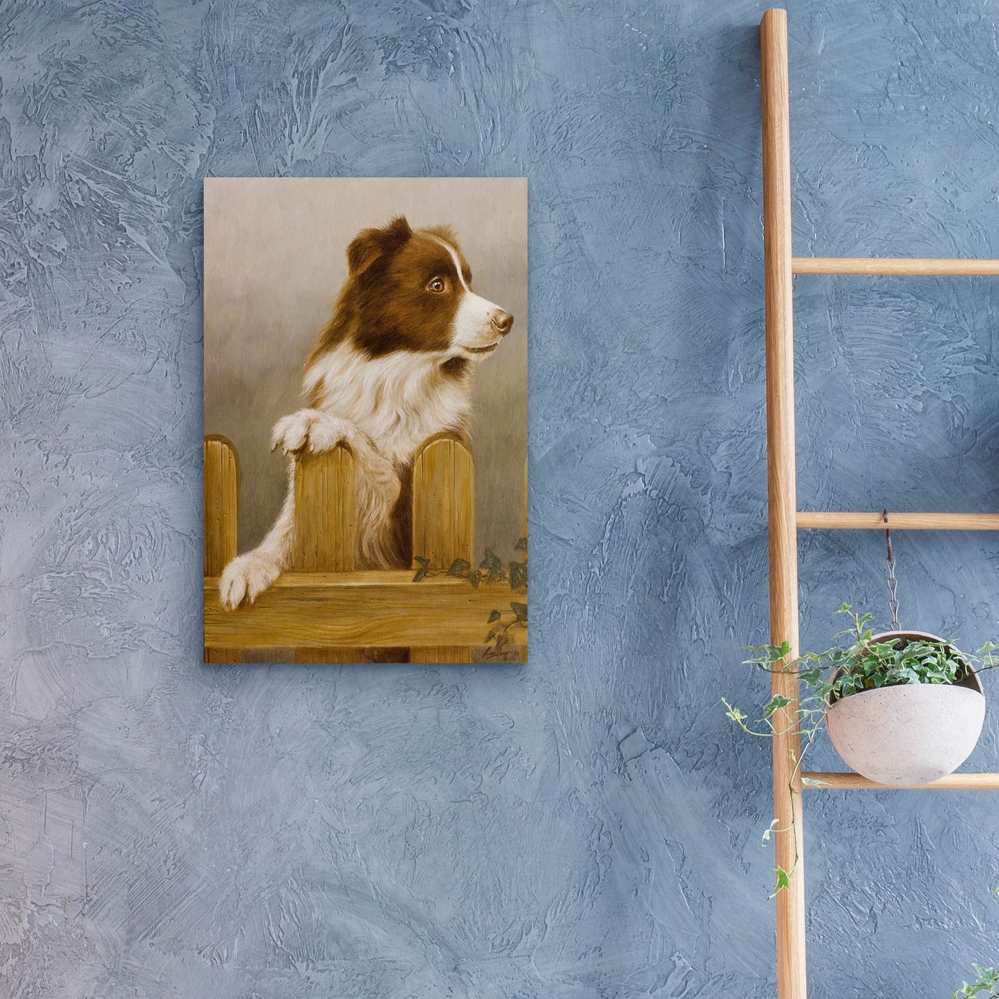 Epic Art 'Brown Collie' by John Silver, Acrylic Glass Wall Art,16x24