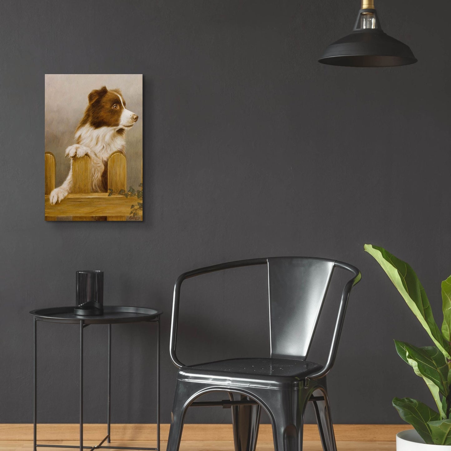 Epic Art 'Brown Collie' by John Silver, Acrylic Glass Wall Art,16x24