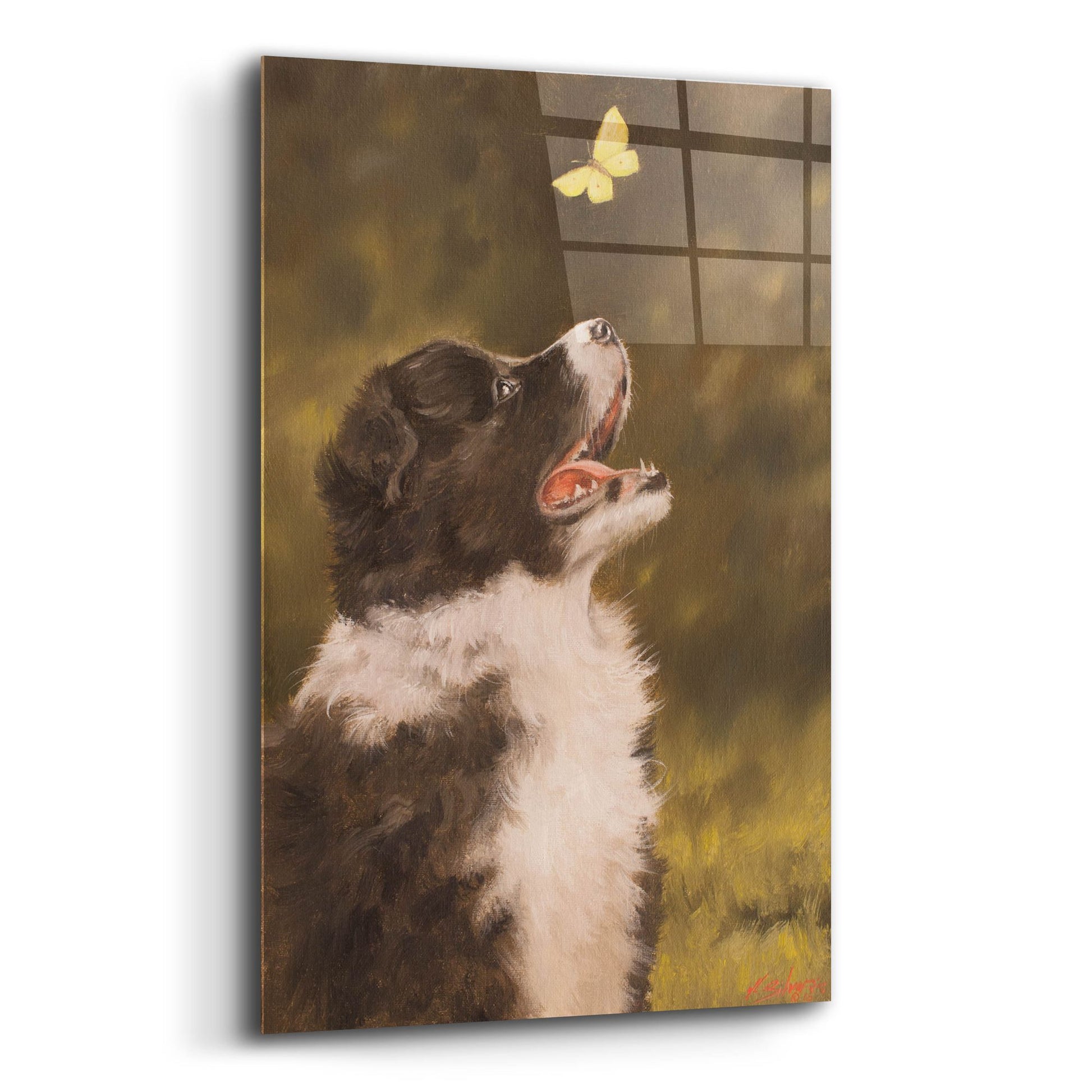 Epic Art 'Collie the Butterfly's Friend' by John Silver, Acrylic Glass Wall Art,12x16