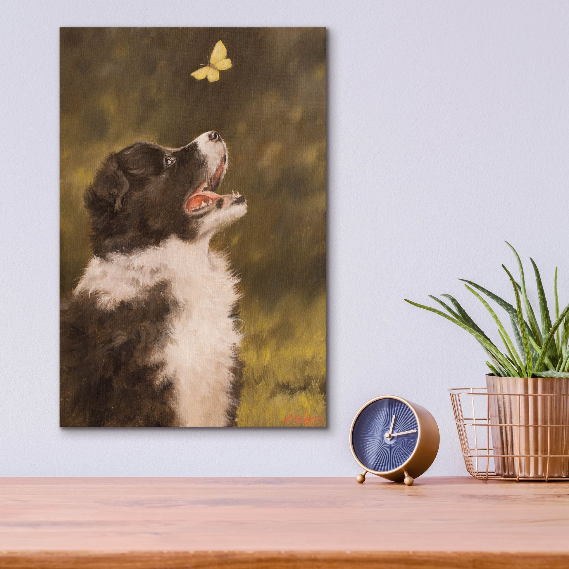 Epic Art 'Collie the Butterfly's Friend' by John Silver, Acrylic Glass Wall Art,12x16