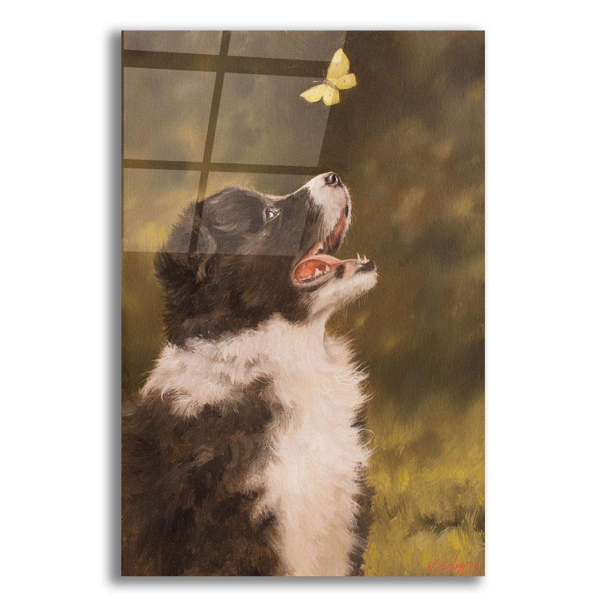 Epic Art 'Collie the Butterfly's Friend' by John Silver, Acrylic Glass Wall Art