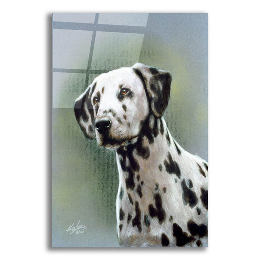 Epic Art 'Puppy eyes Dalmatian' by John Silver, Acrylic Glass Wall Art