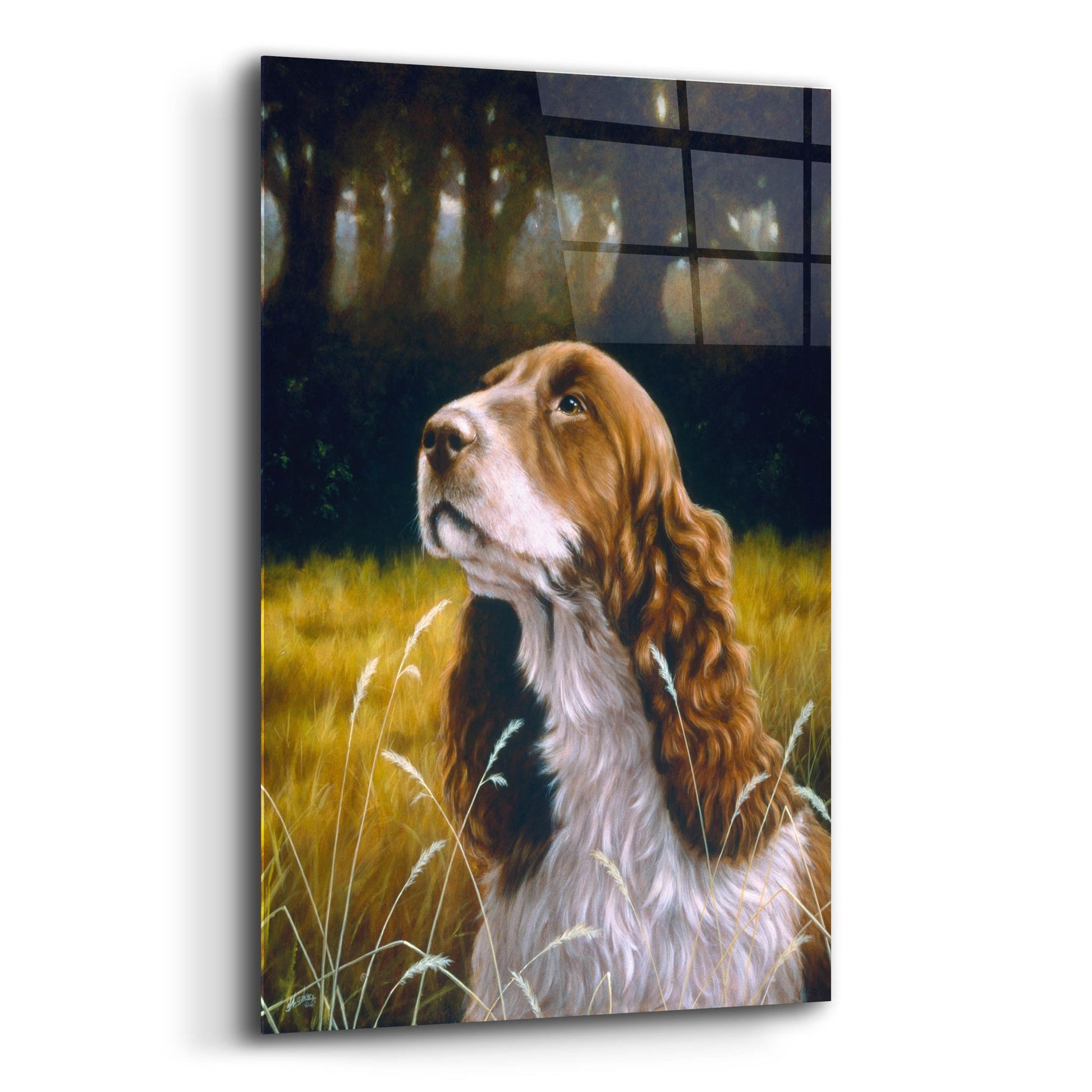 Epic Art 'Puppy eyes' by John Silver, Acrylic Glass Wall Art,12x16