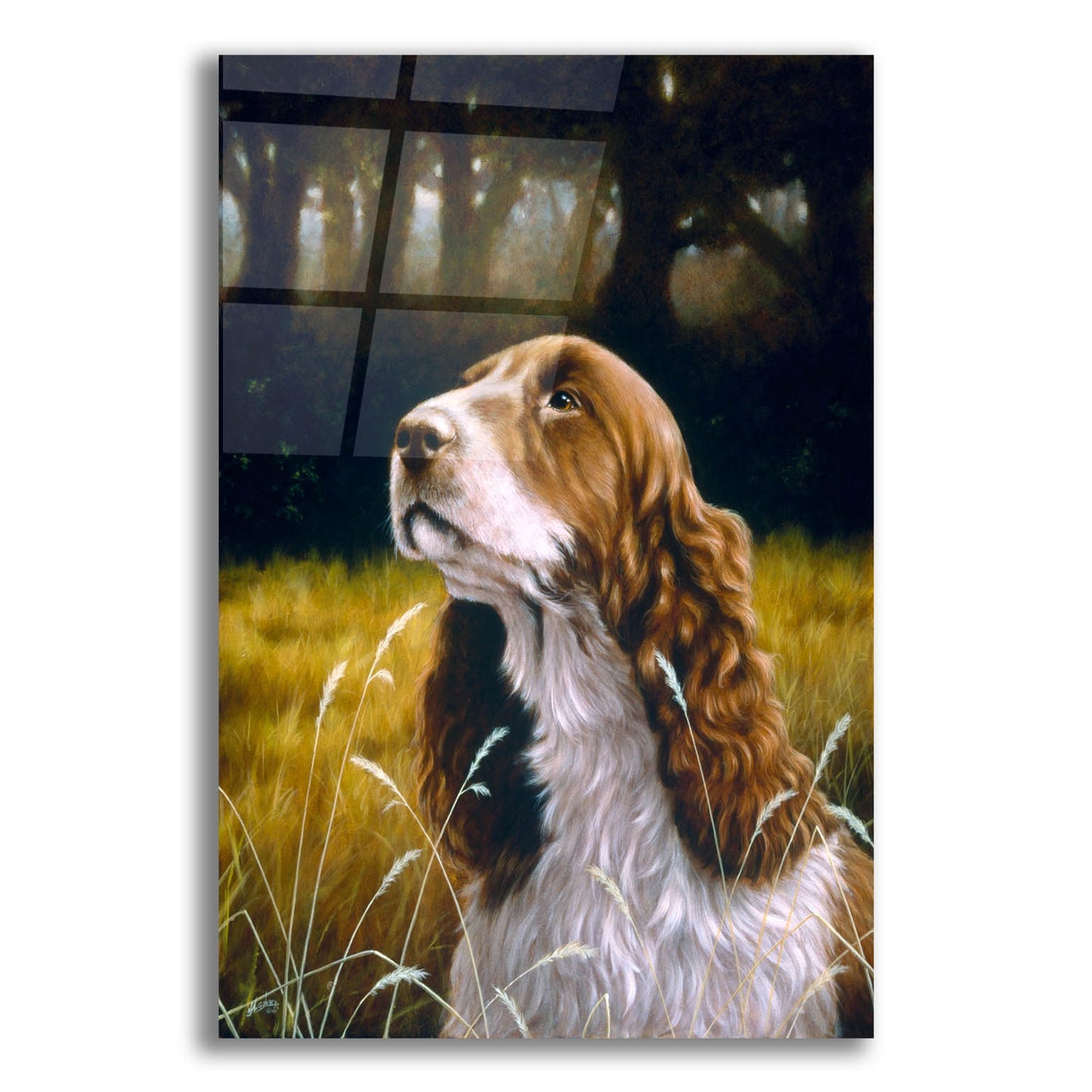 Epic Art 'Puppy eyes' by John Silver, Acrylic Glass Wall Art