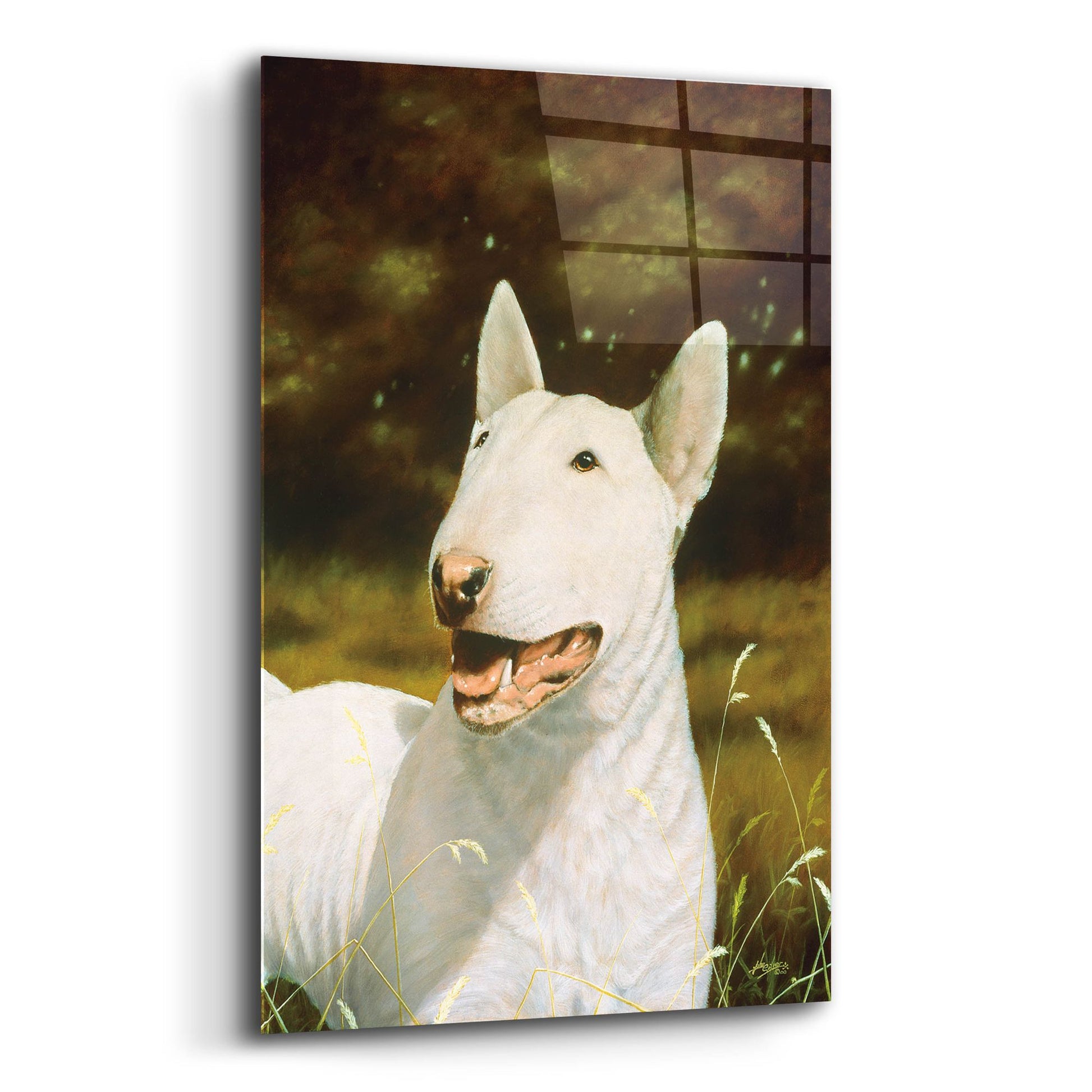 Epic Art ' Bull Terrier Smile' by John Silver, Acrylic Glass Wall Art,12x16