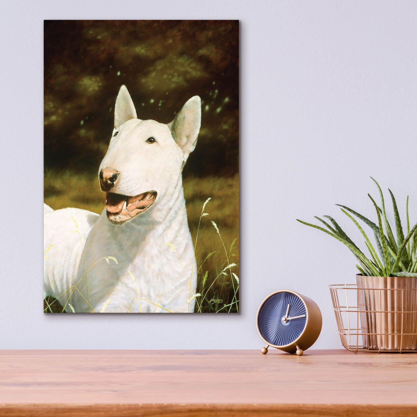 Epic Art ' Bull Terrier Smile' by John Silver, Acrylic Glass Wall Art,12x16