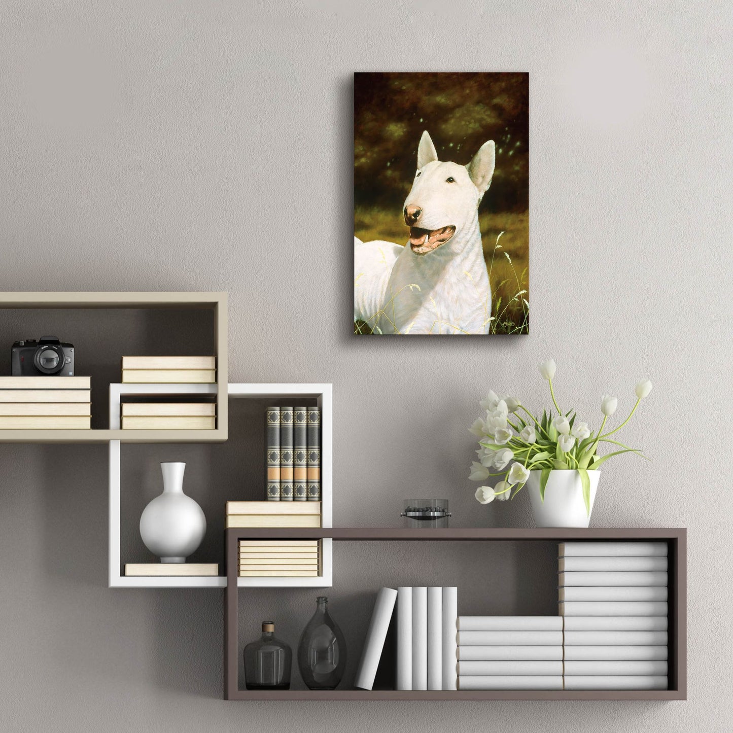 Epic Art ' Bull Terrier Smile' by John Silver, Acrylic Glass Wall Art,16x24