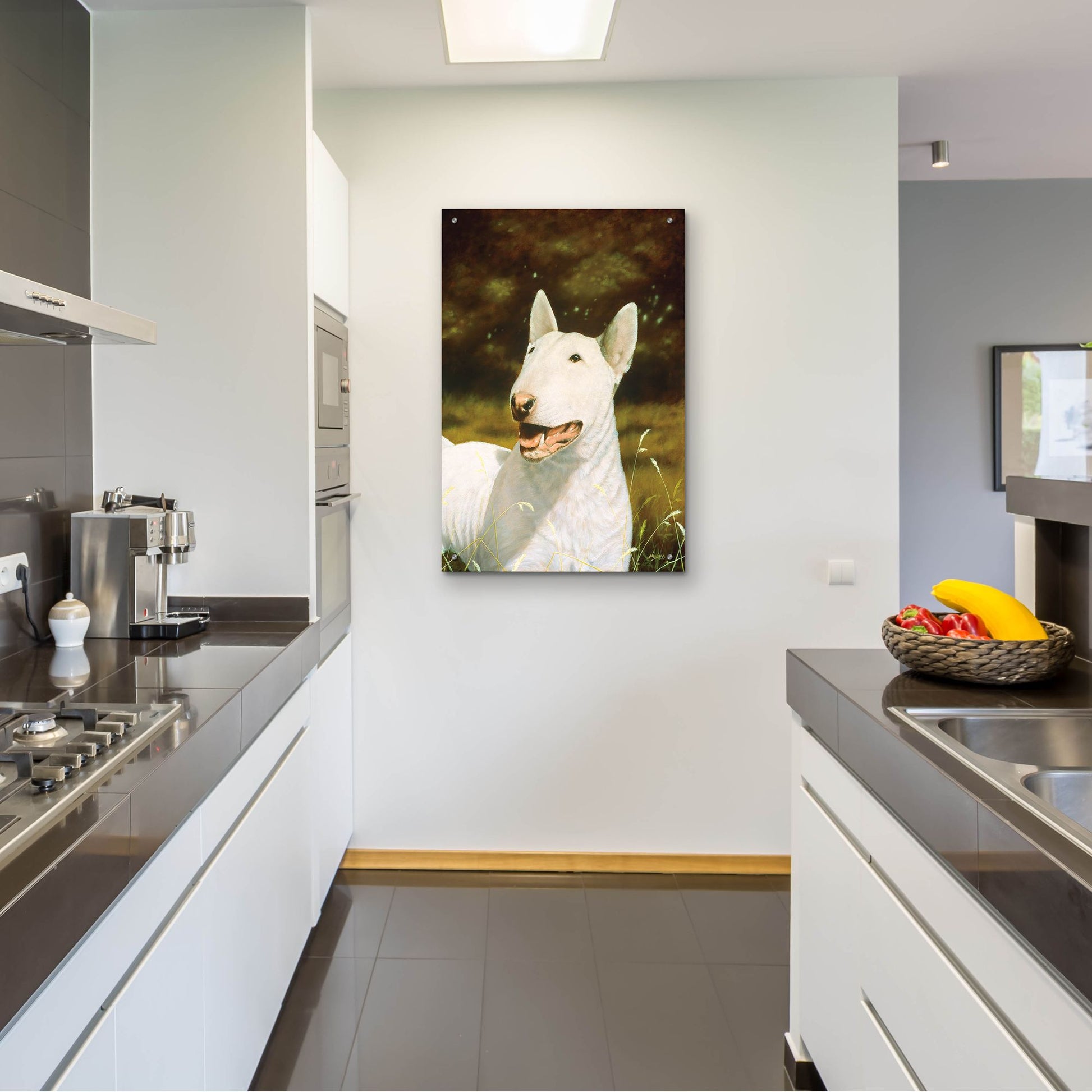 Epic Art ' Bull Terrier Smile' by John Silver, Acrylic Glass Wall Art,24x36